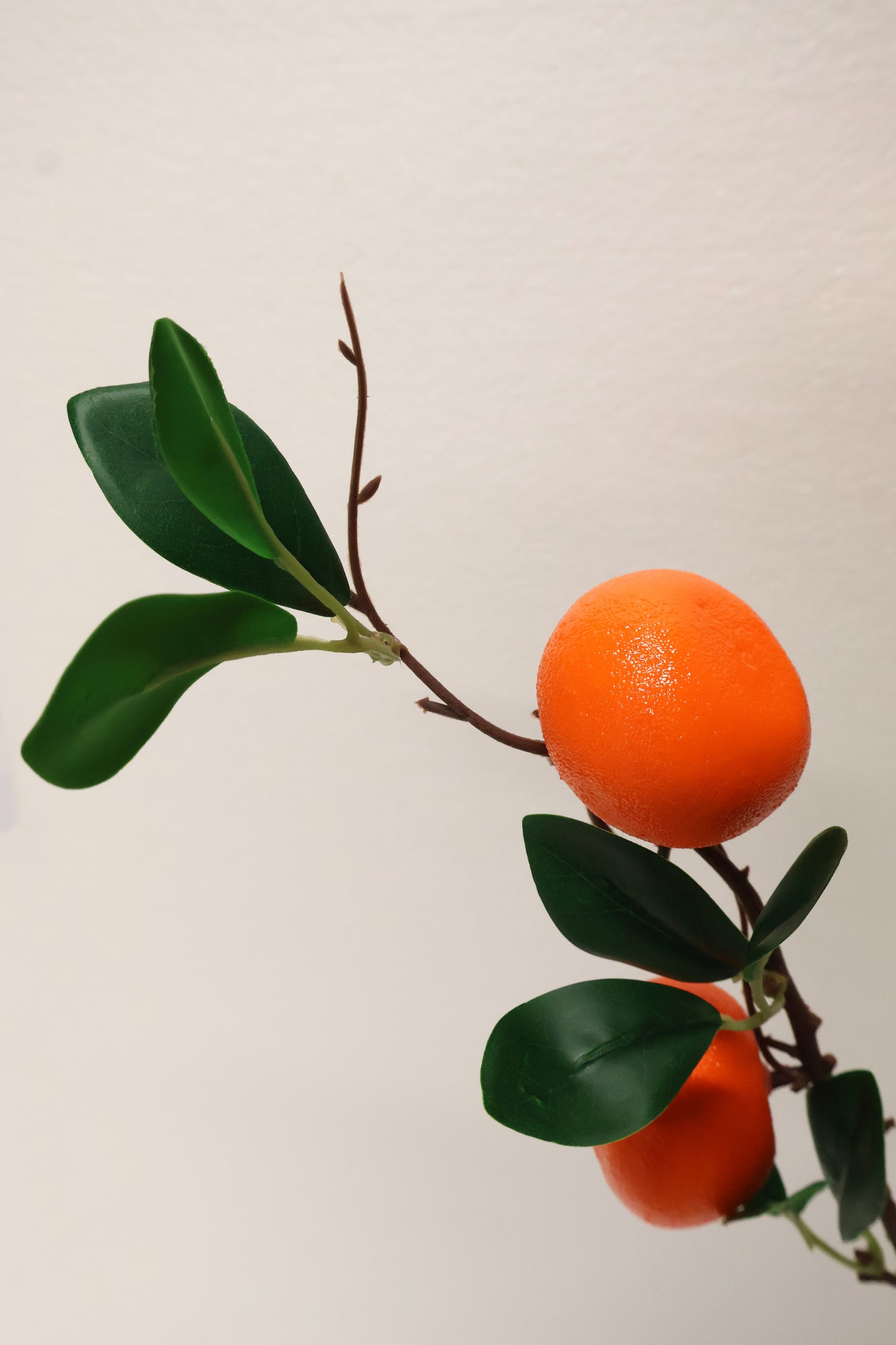 ORANGE — 31.1" (79 cm)