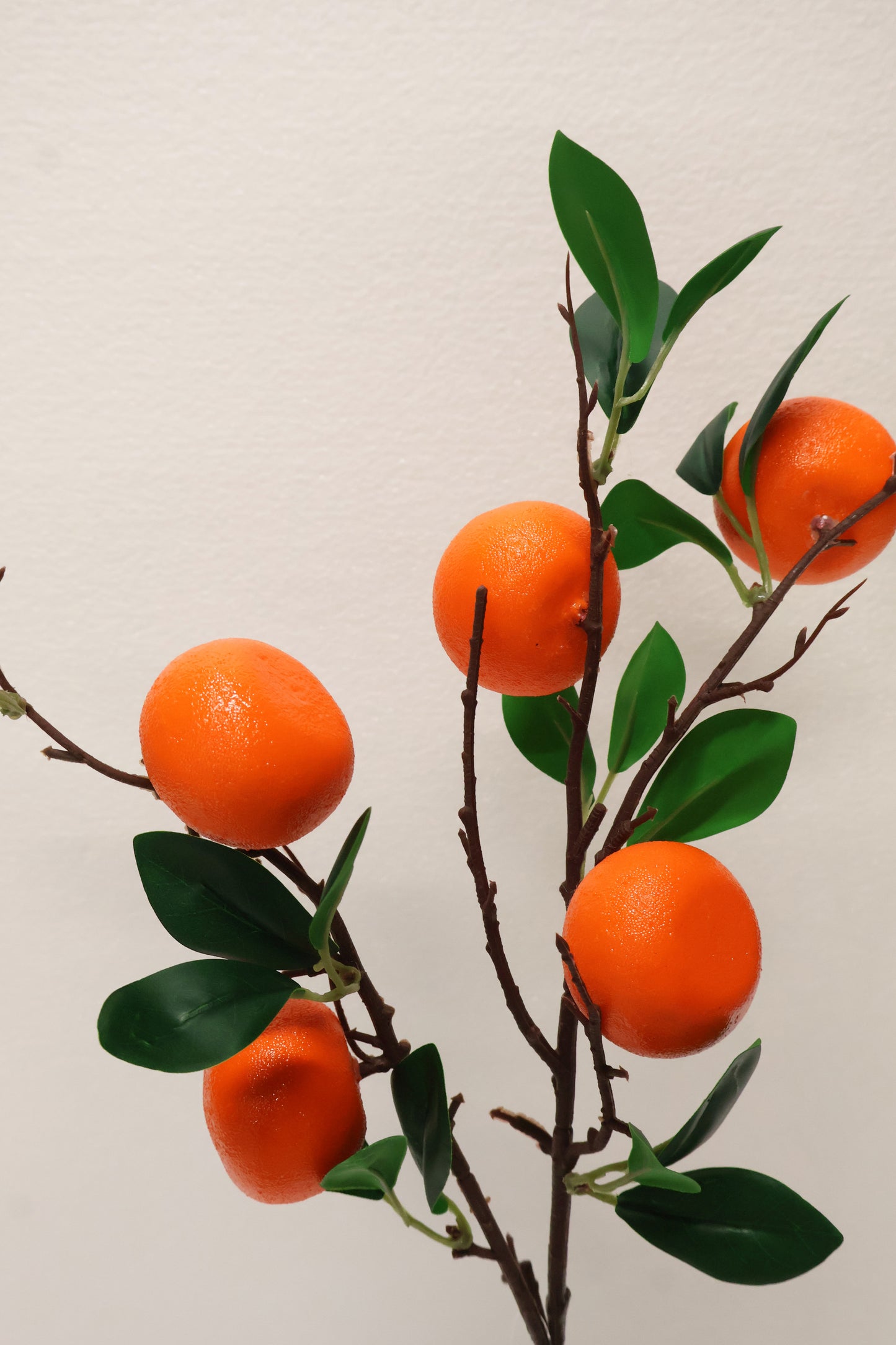 ORANGE — 31.1" (79 cm)
