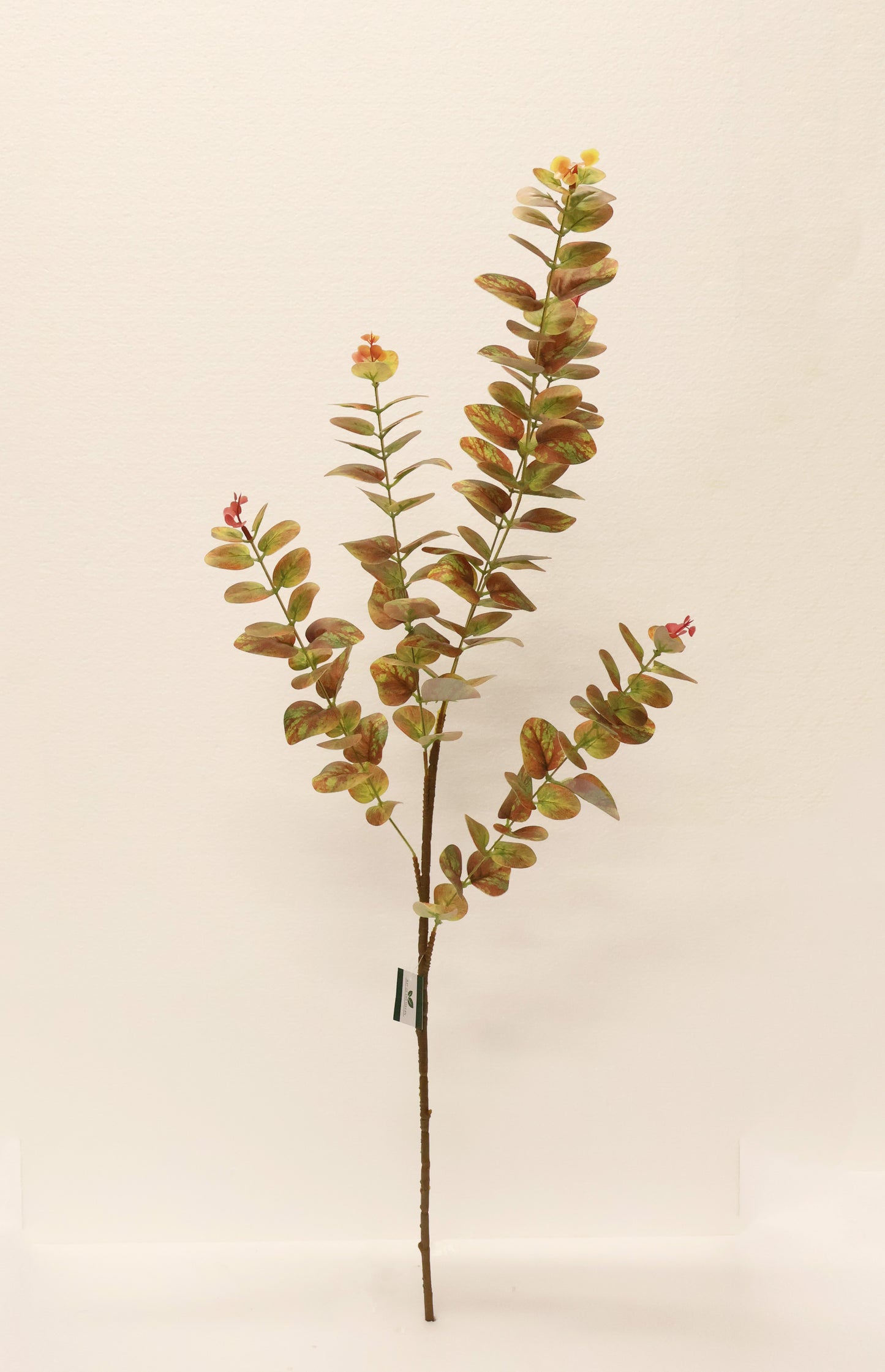 EUCALYPTUS — 37.4" (95 cm)