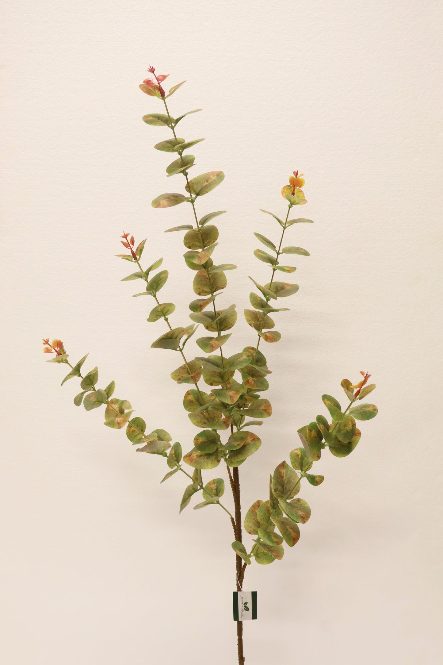 EUCALYPTUS — 37.4" (95 cm)