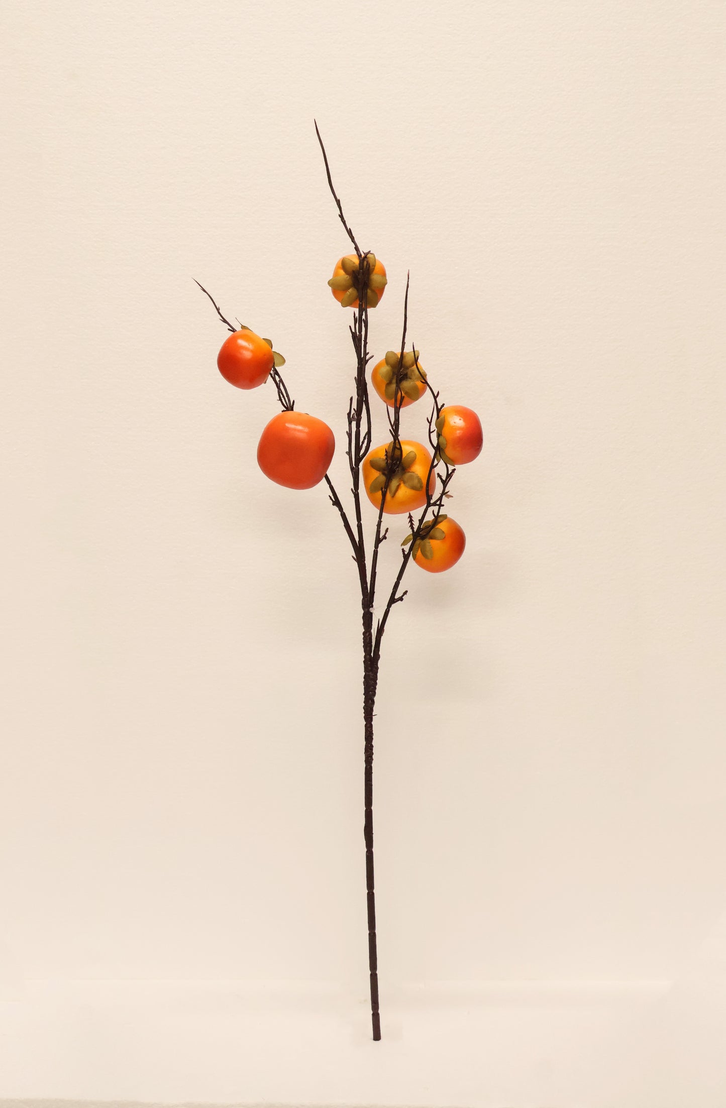 PERSIMMON — 35.4" (90 cm)