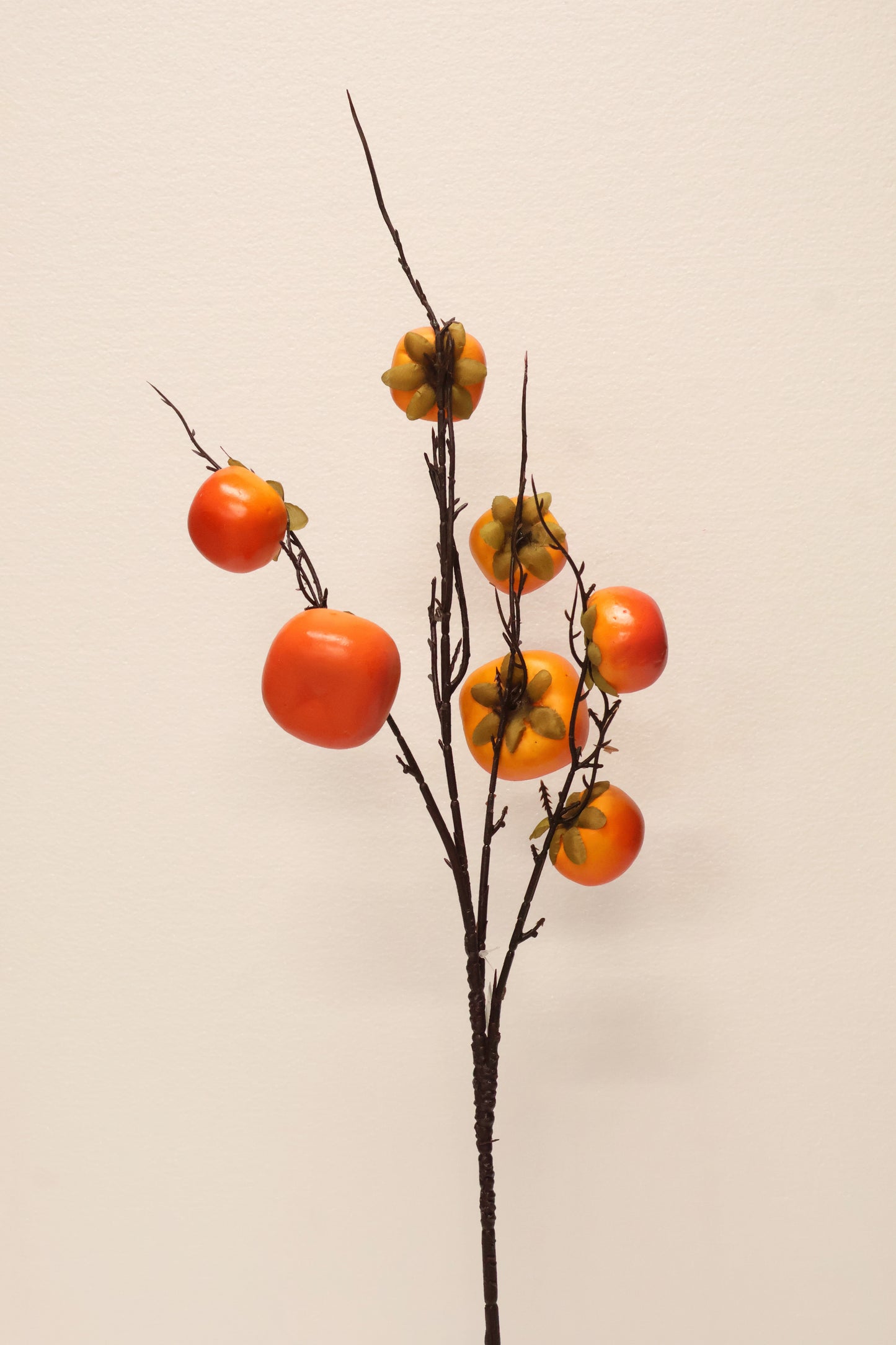 PERSIMMON — 35.4" (90 cm)