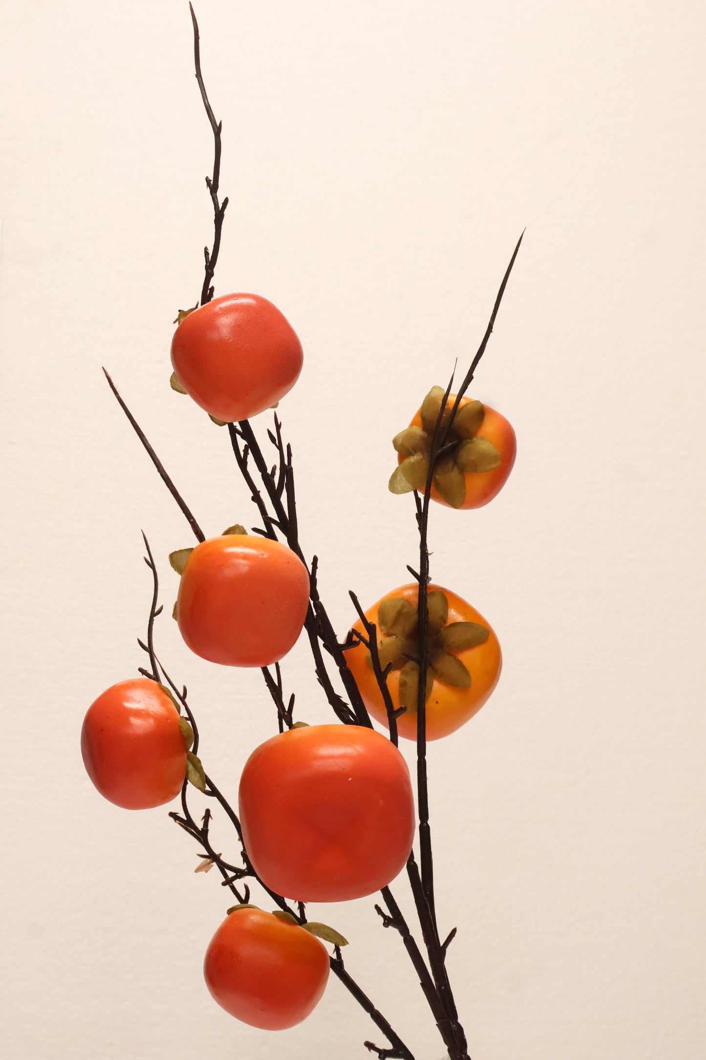 PERSIMMON — 35.4" (90 cm)