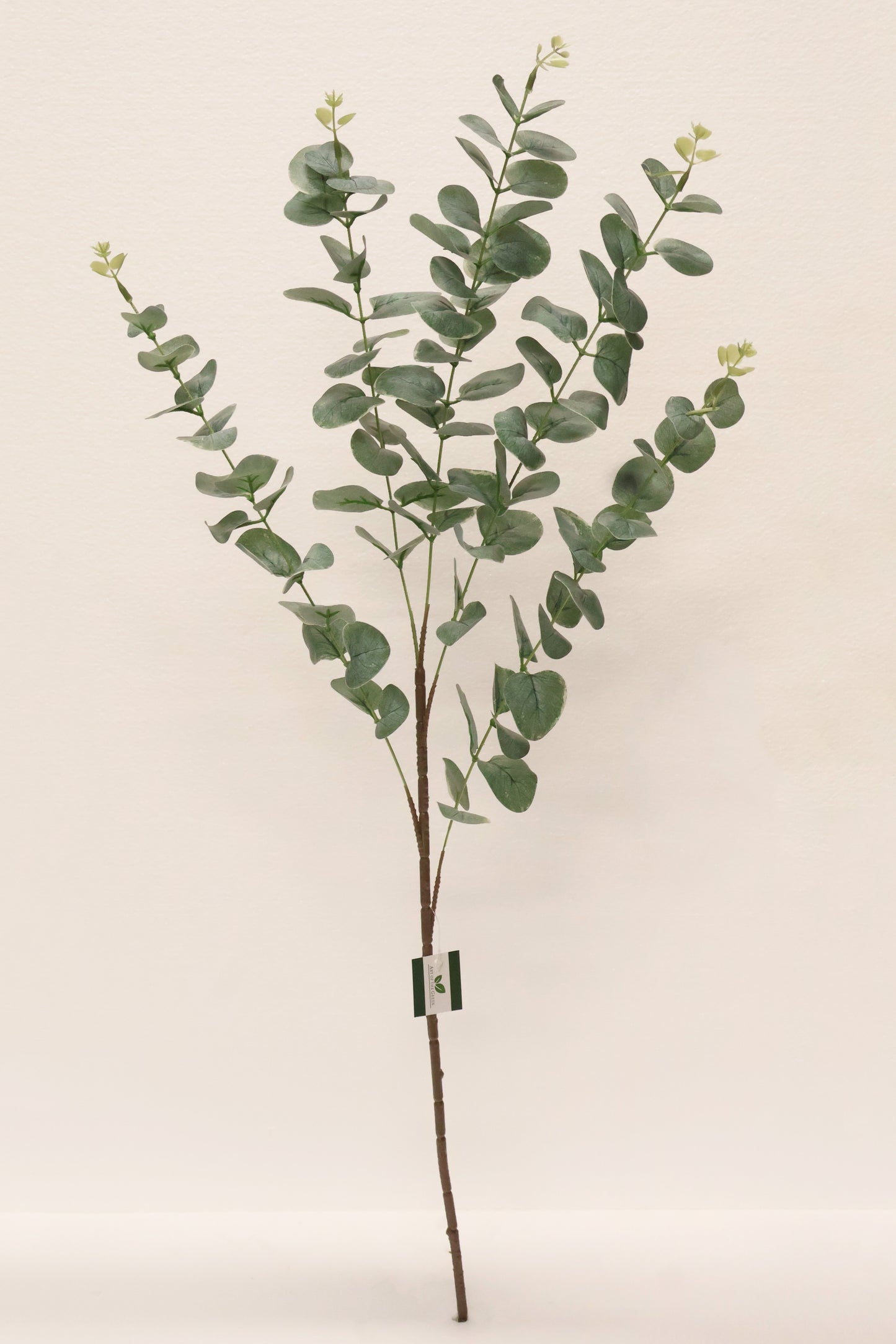 EUCALYPTUS — 36.6" (93 cm)