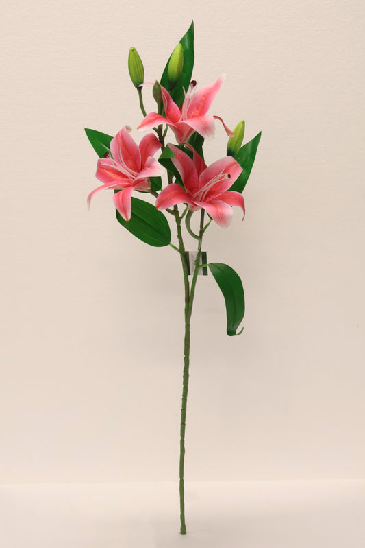 LILY — 30.3" (77 cm)