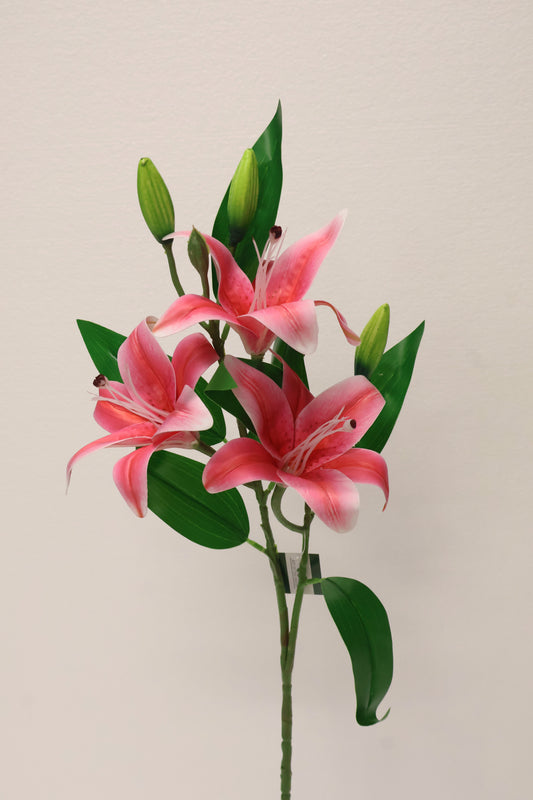 LILY — 30.3" (77 cm)