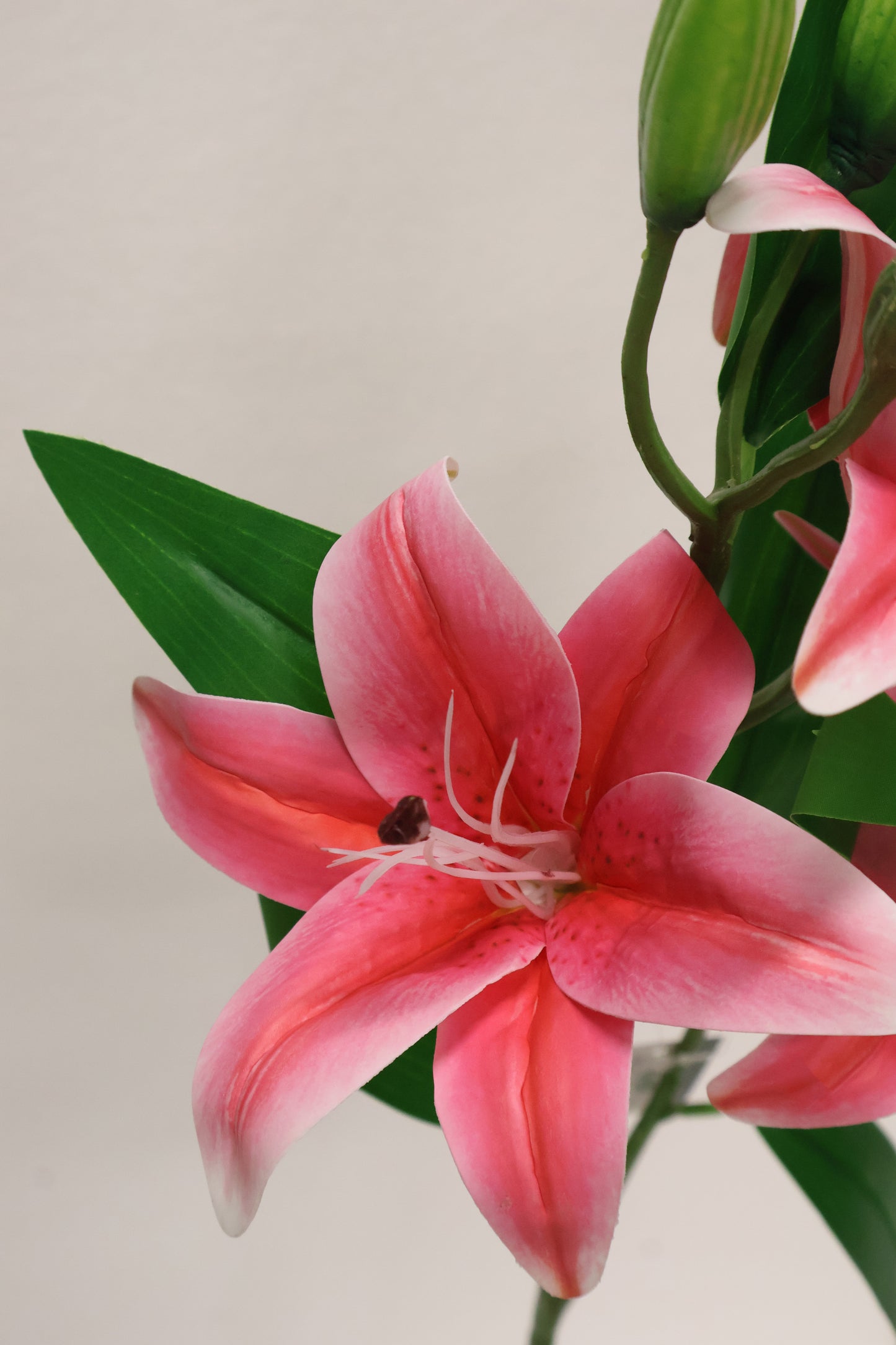 LILY — 30.3" (77 cm)