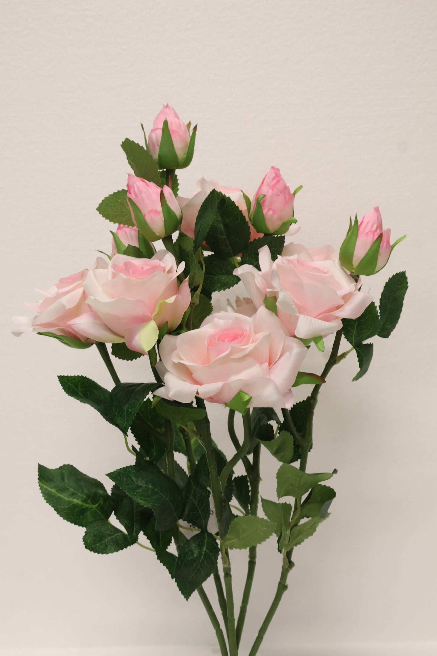 ROSE BUSH — 21.7" (55 cm)