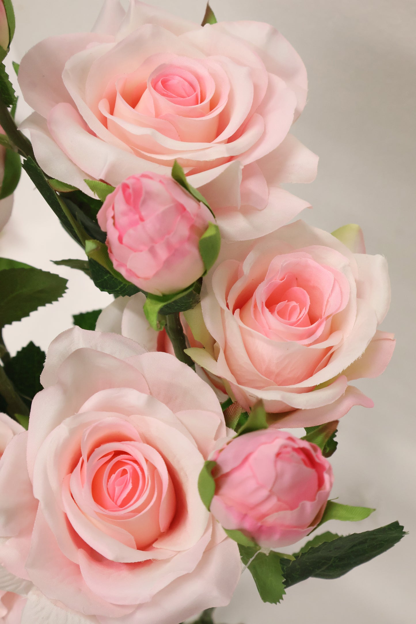 ROSE BUSH — 21.7" (55 cm)
