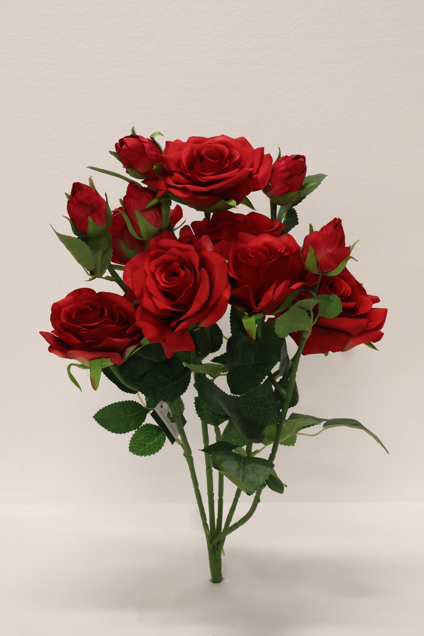 ROSE BUSH — 21.7" (55 cm)