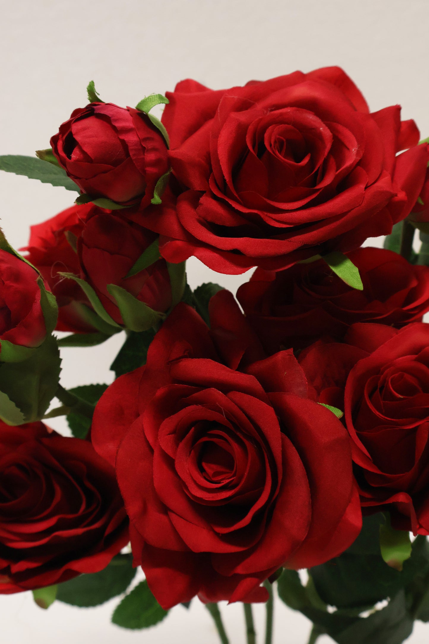 ROSE BUSH — 21.7" (55 cm)