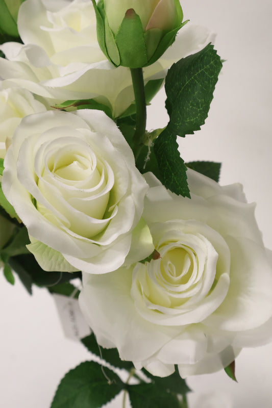 ROSE BUSH — 21.7" (55 cm)