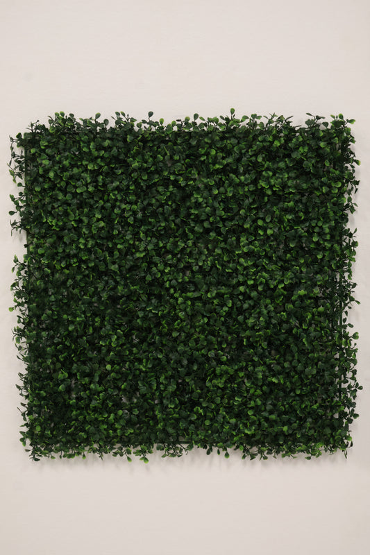 GREEN WALL — BOXWOOD PANEL — 20" × 20" (51 × 51 cm)