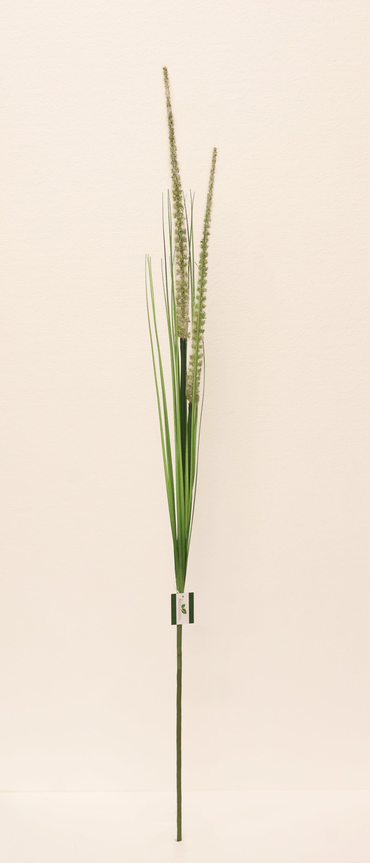 ORNAMENTAL GRASS STEM — 41.3" (105 cm)