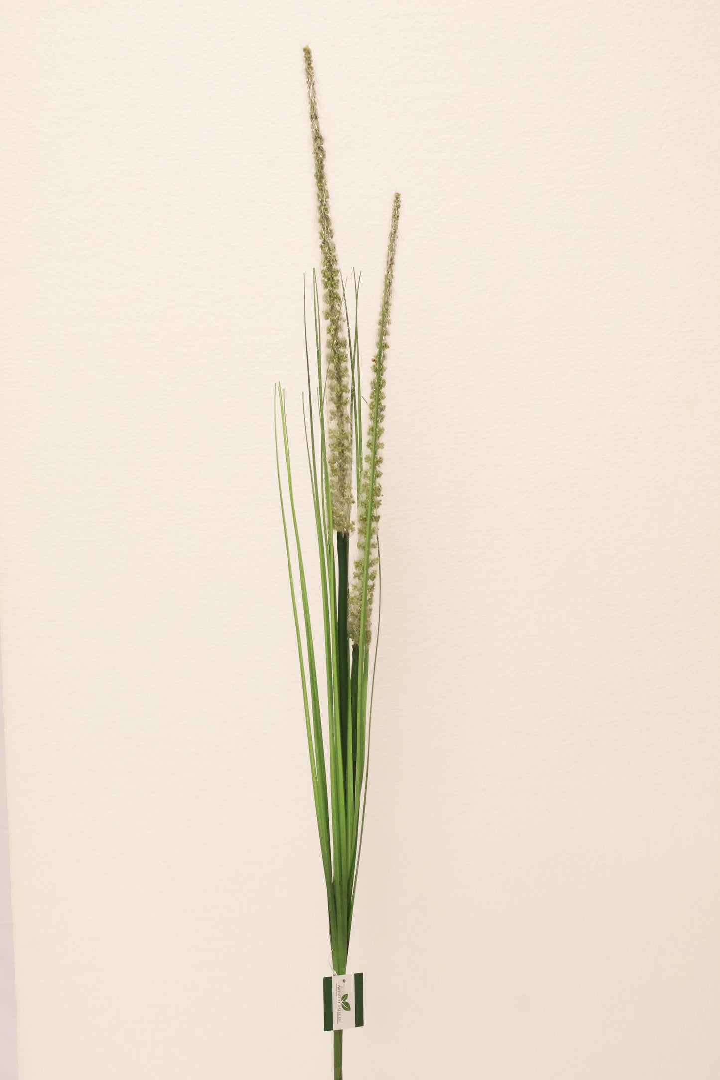 ORNAMENTAL GRASS STEM — 41.3" (105 cm)