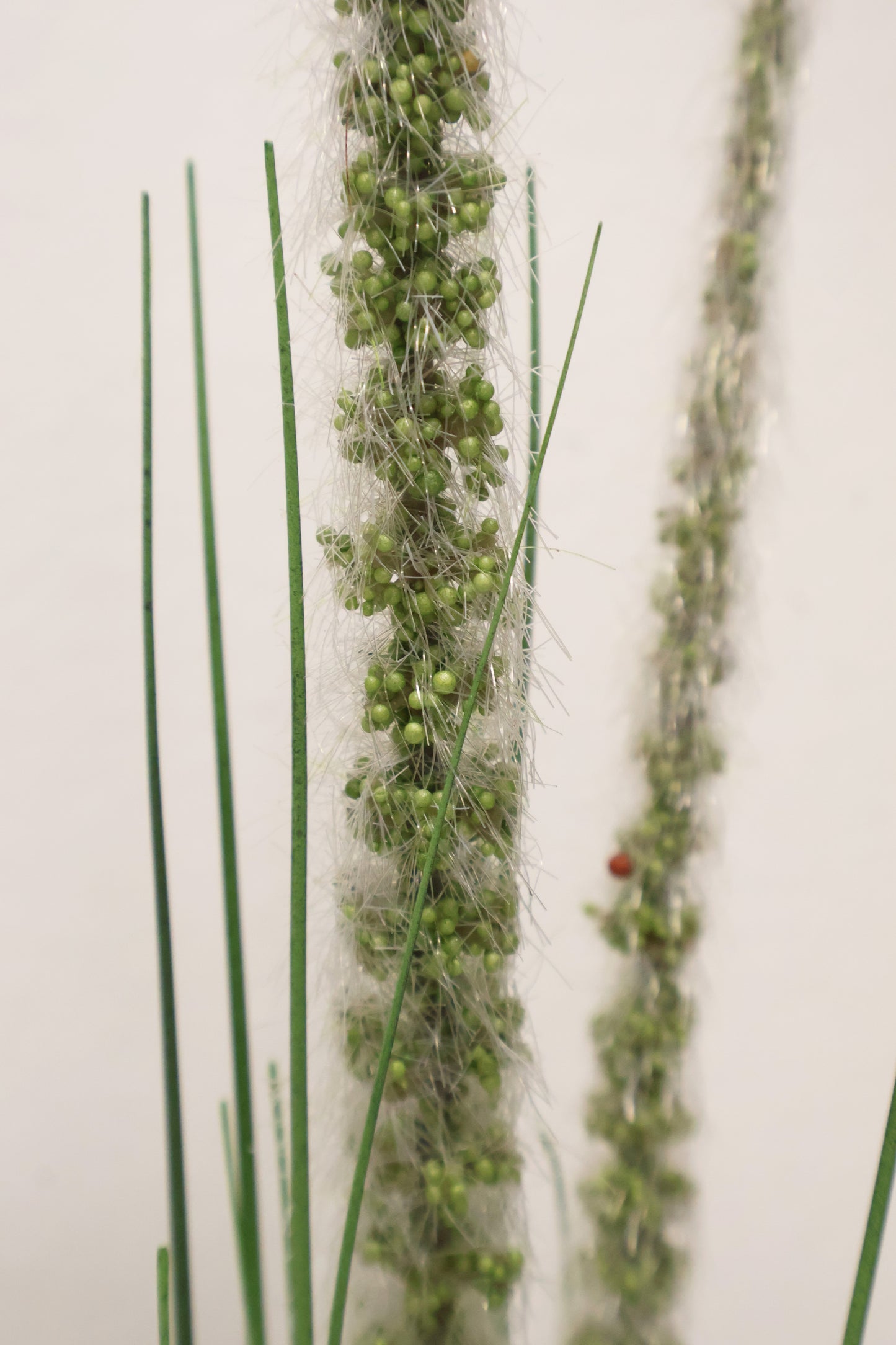 ORNAMENTAL GRASS STEM — 41.3" (105 cm)