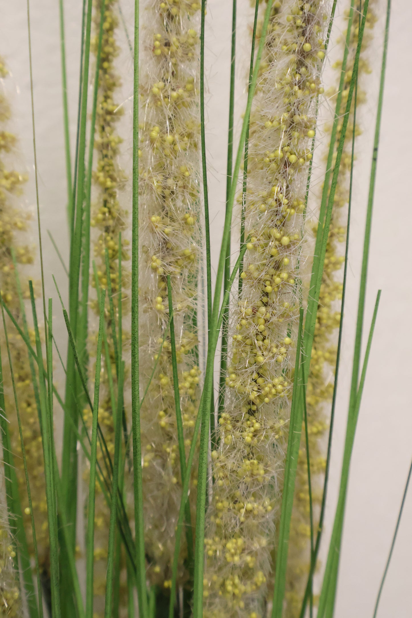 ORNAMENTAL GRASS STEM — 41.3" (105 cm)