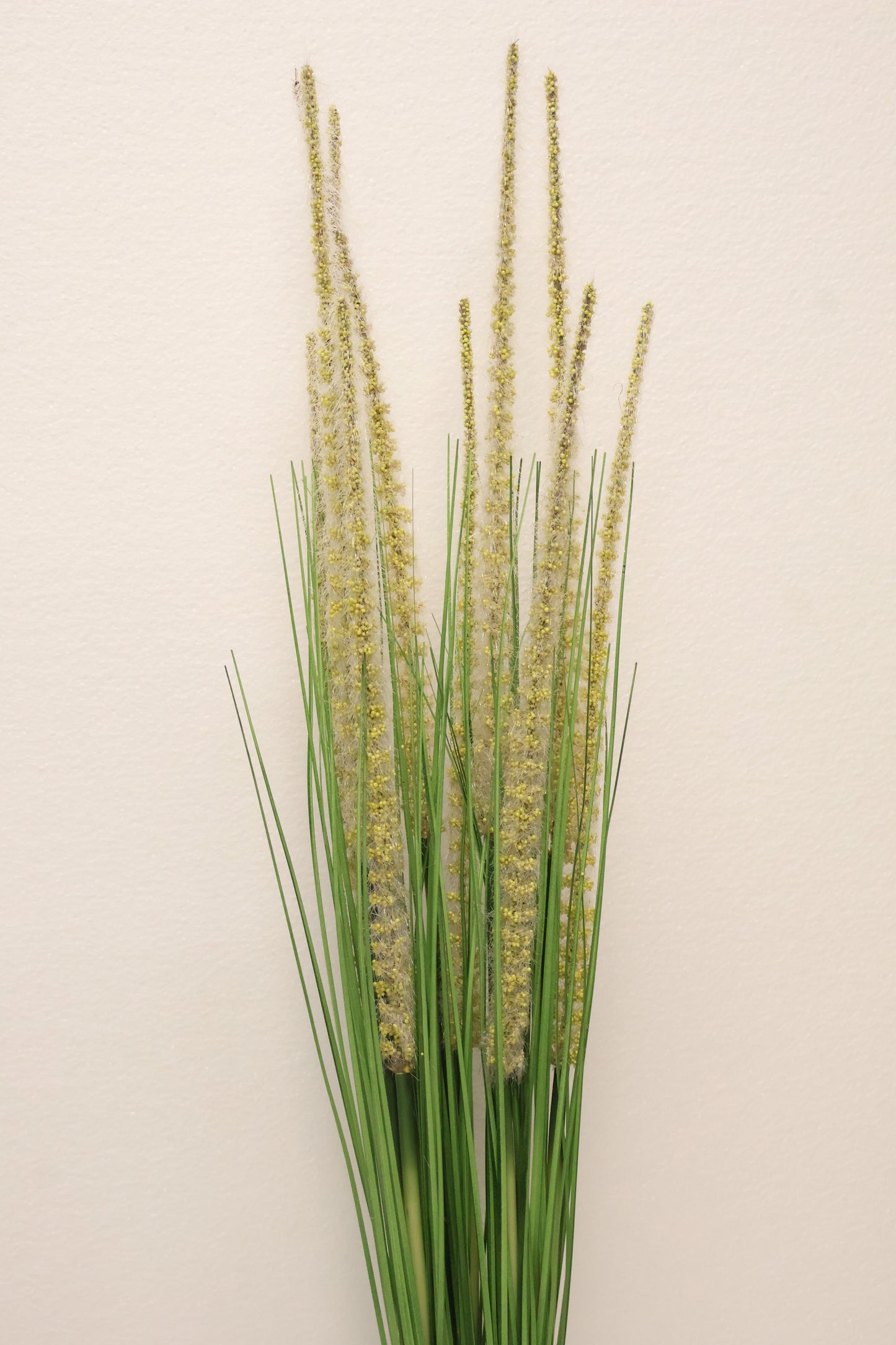 ORNAMENTAL GRASS STEM — 41.3" (105 cm)