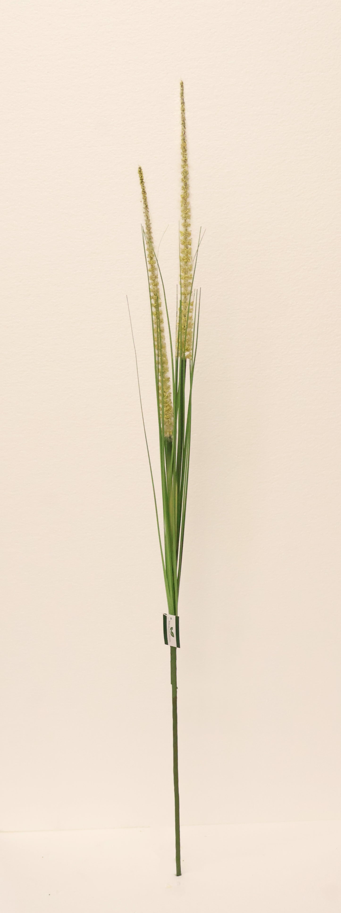 ORNAMENTAL GRASS STEM — 41.3" (105 cm)