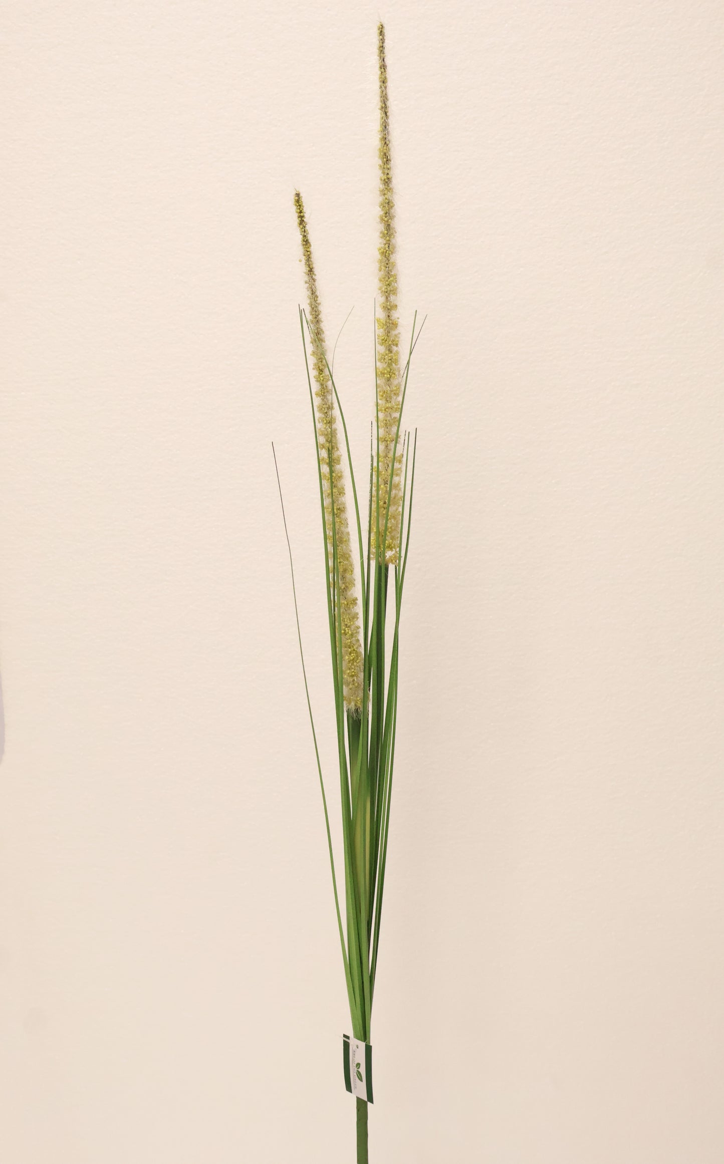 ORNAMENTAL GRASS STEM — 41.3" (105 cm)