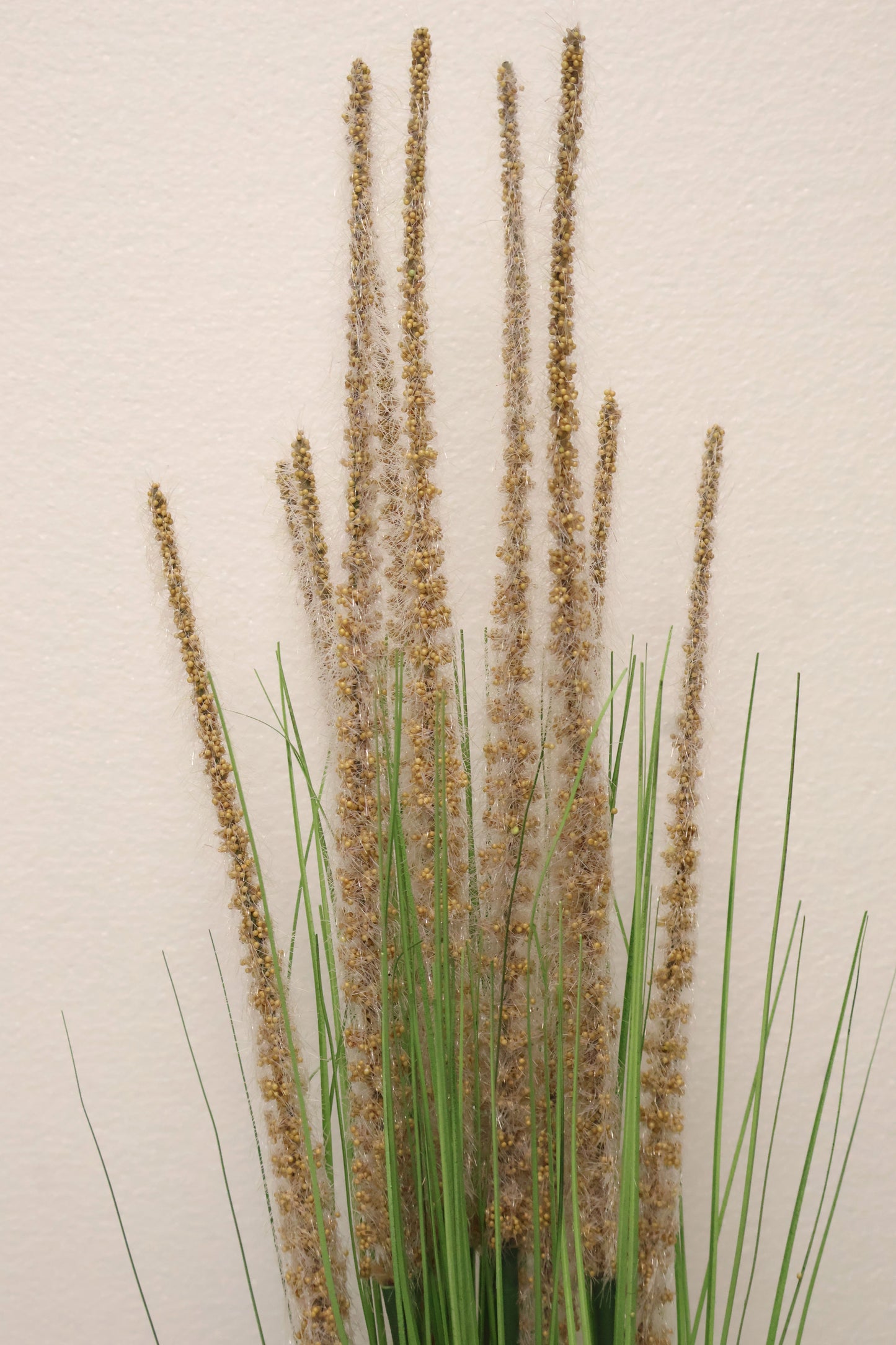 ORNAMENTAL GRASS STEM — 41.3" (105 cm)