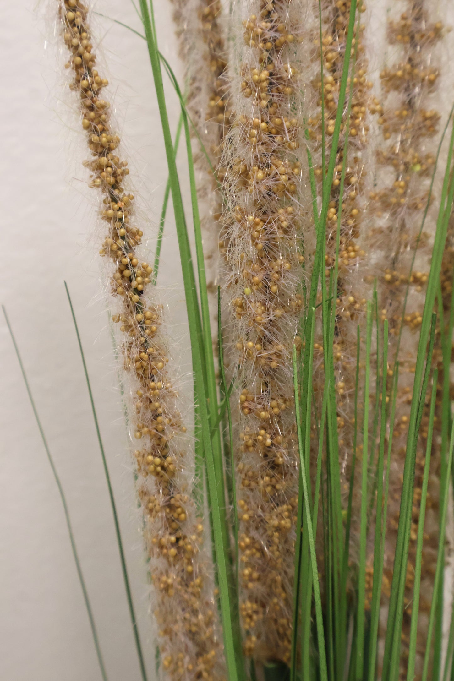 ORNAMENTAL GRASS STEM — 41.3" (105 cm)