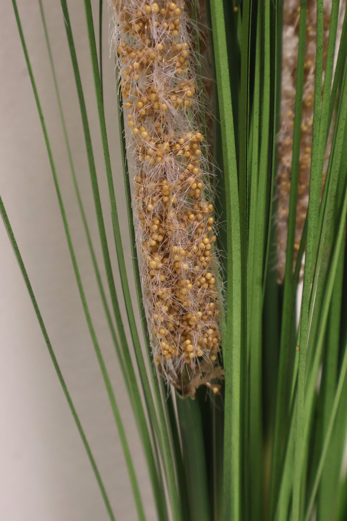 ORNAMENTAL GRASS STEM — 41.3" (105 cm)