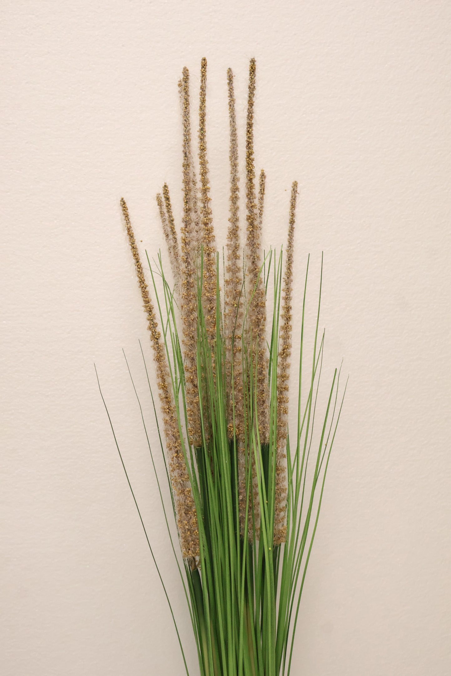 ORNAMENTAL GRASS STEM — 41.3" (105 cm)