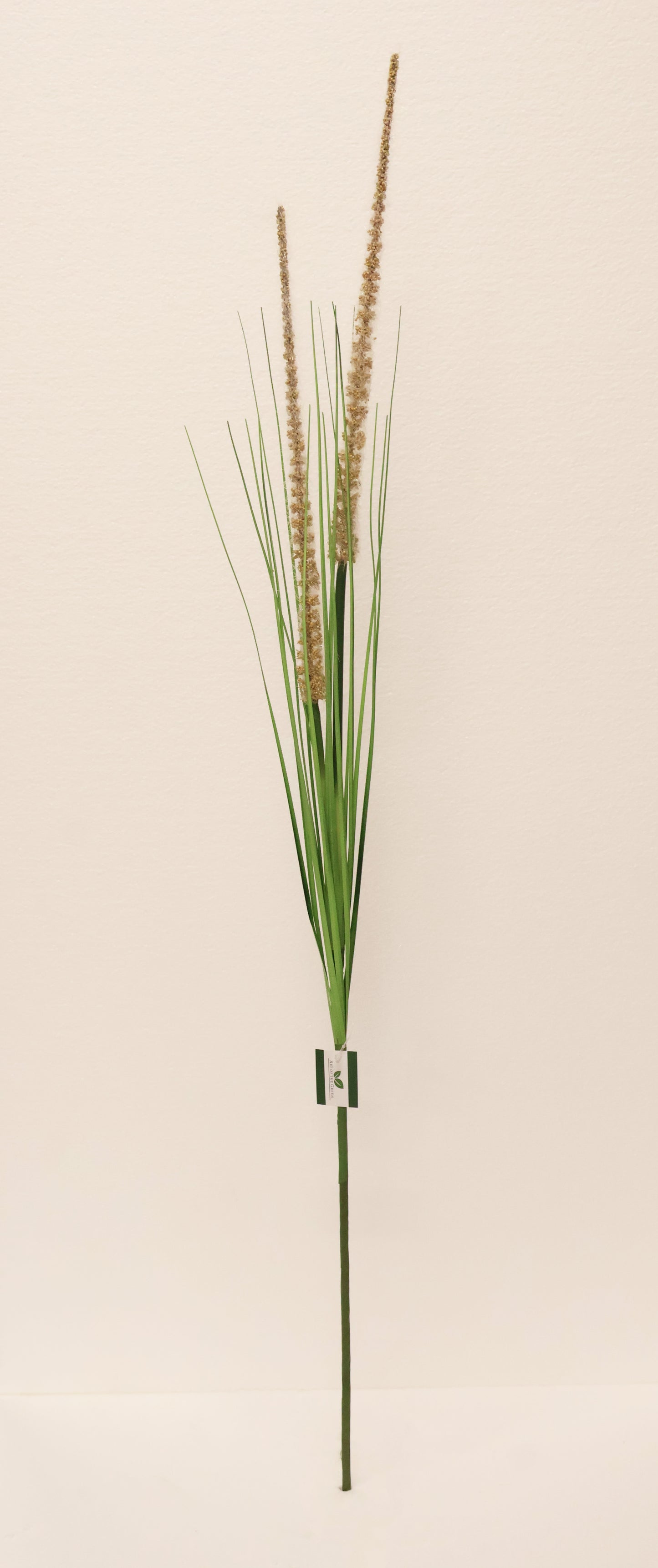 ORNAMENTAL GRASS STEM — 41.3" (105 cm)
