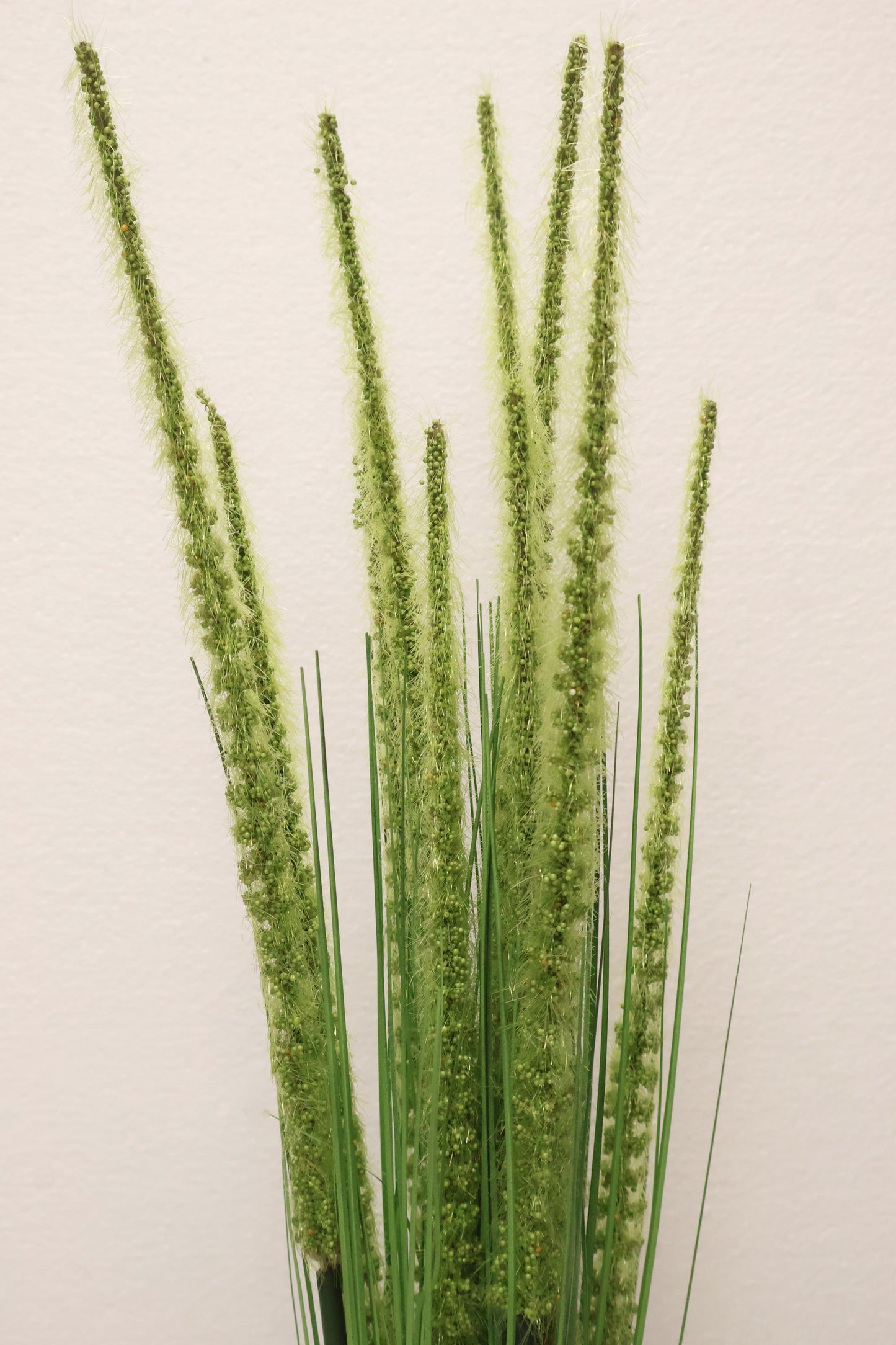 ORNAMENTAL GRASS STEM — 41.3" (105 cm)