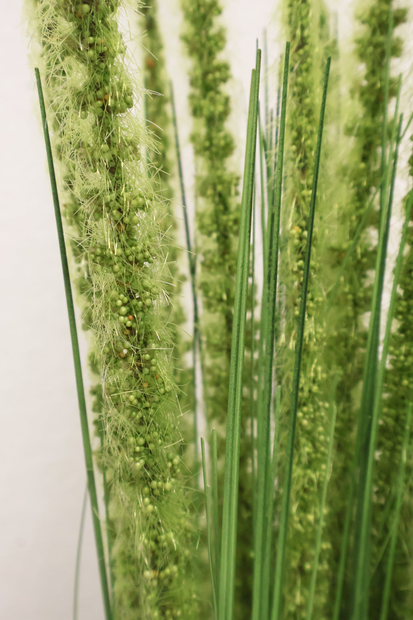 ORNAMENTAL GRASS STEM — 41.3" (105 cm)