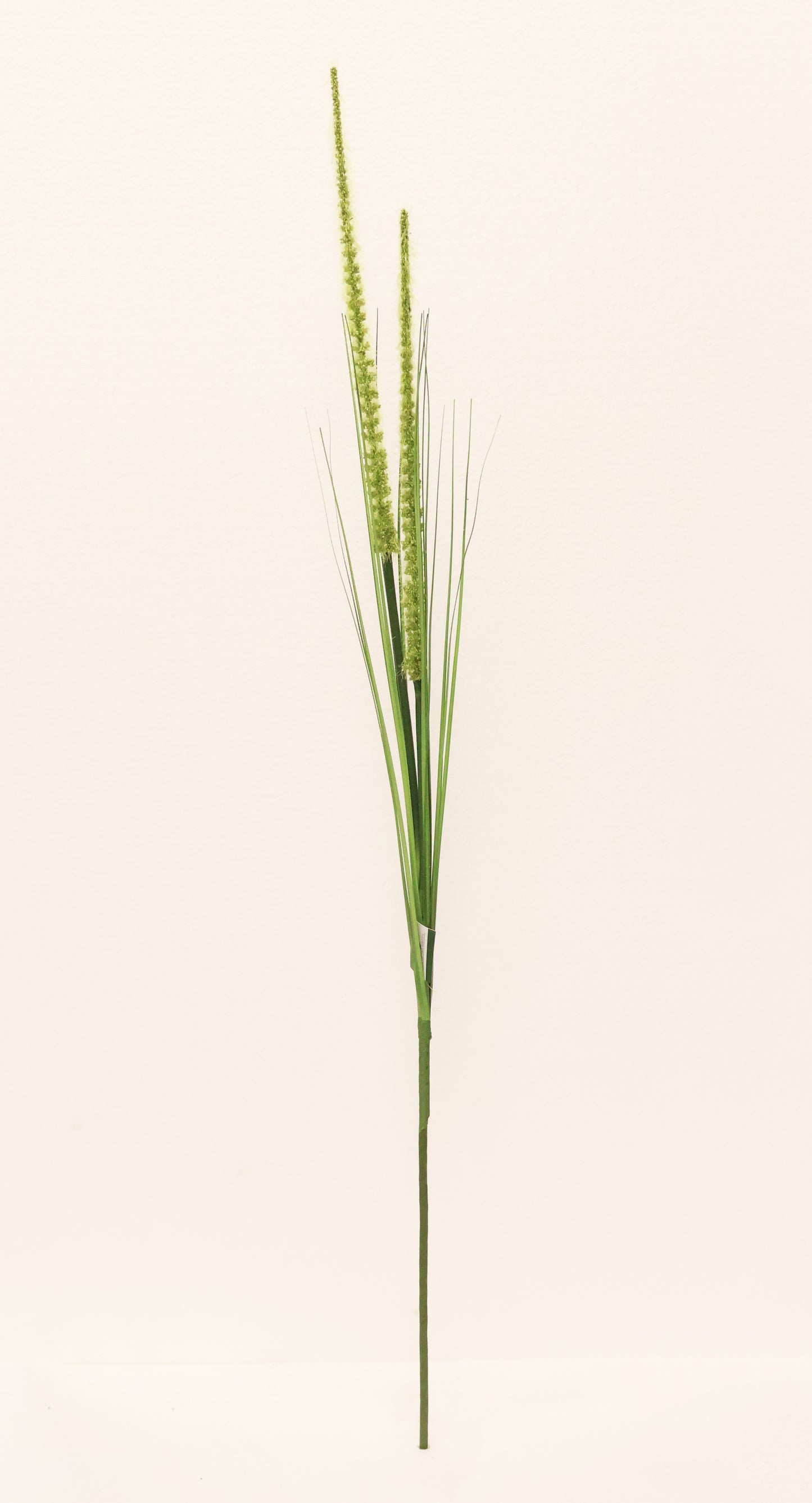 ORNAMENTAL GRASS STEM — 41.3" (105 cm)