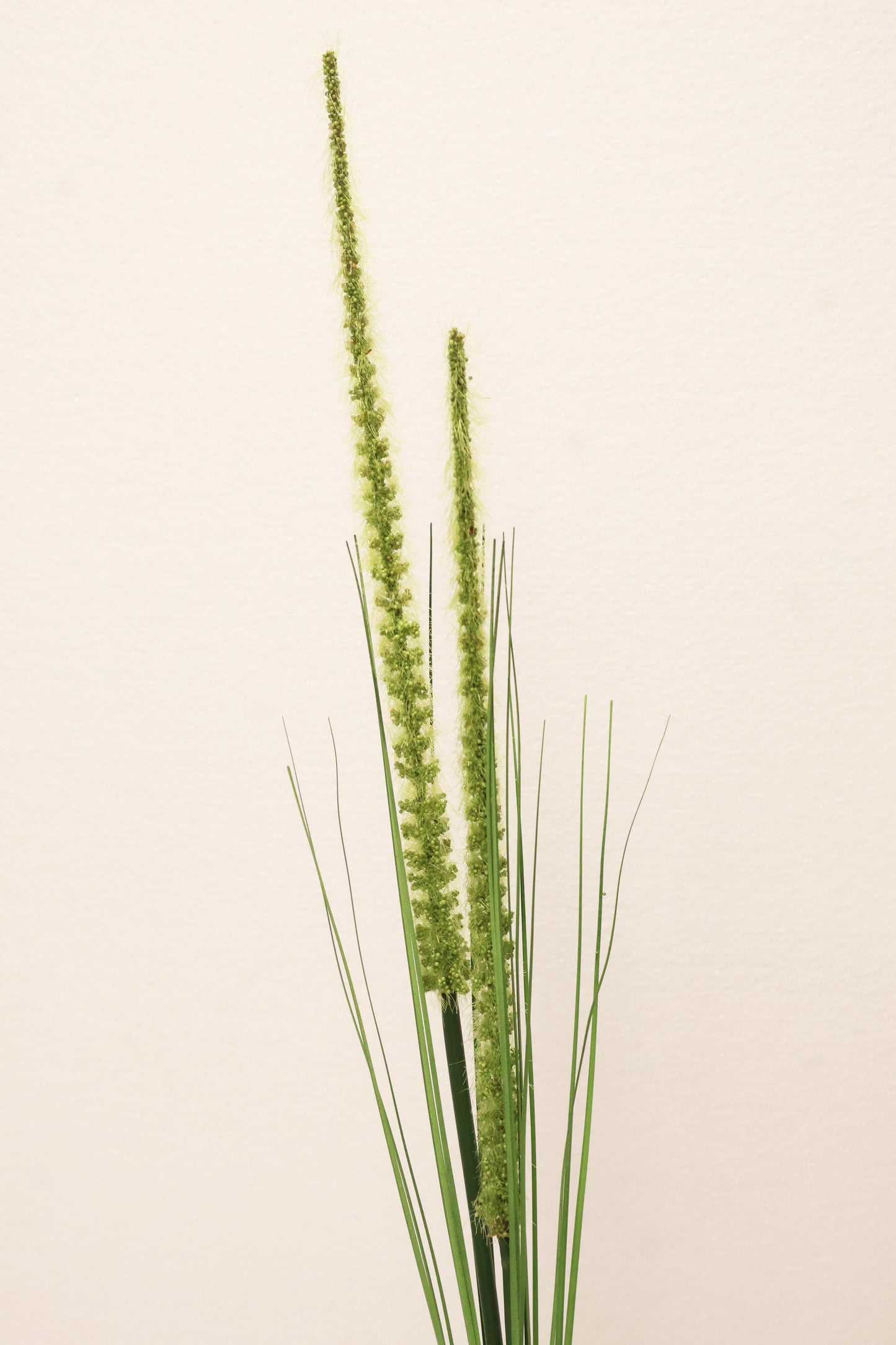 ORNAMENTAL GRASS STEM — 41.3" (105 cm)