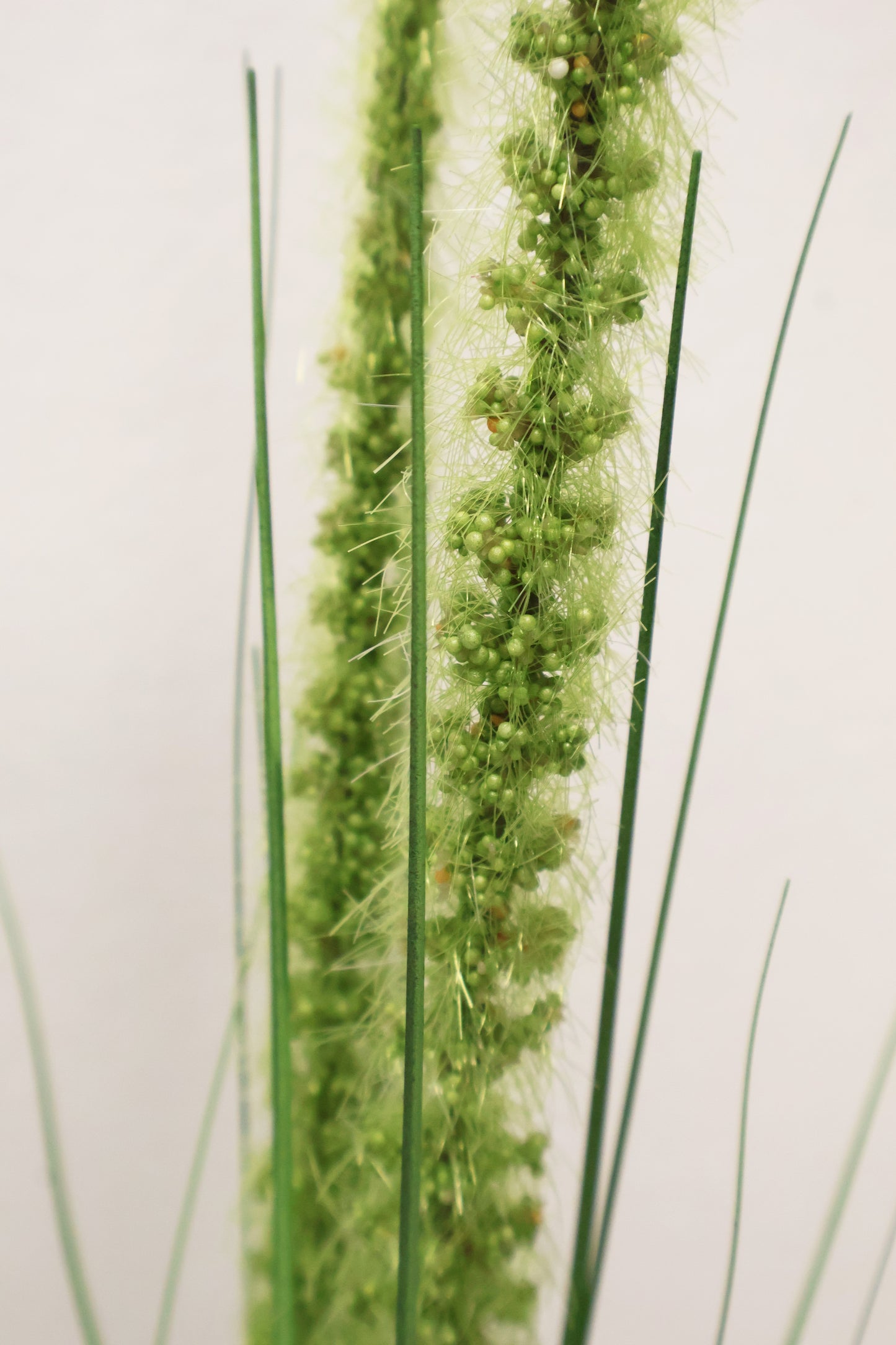 ORNAMENTAL GRASS STEM — 41.3" (105 cm)