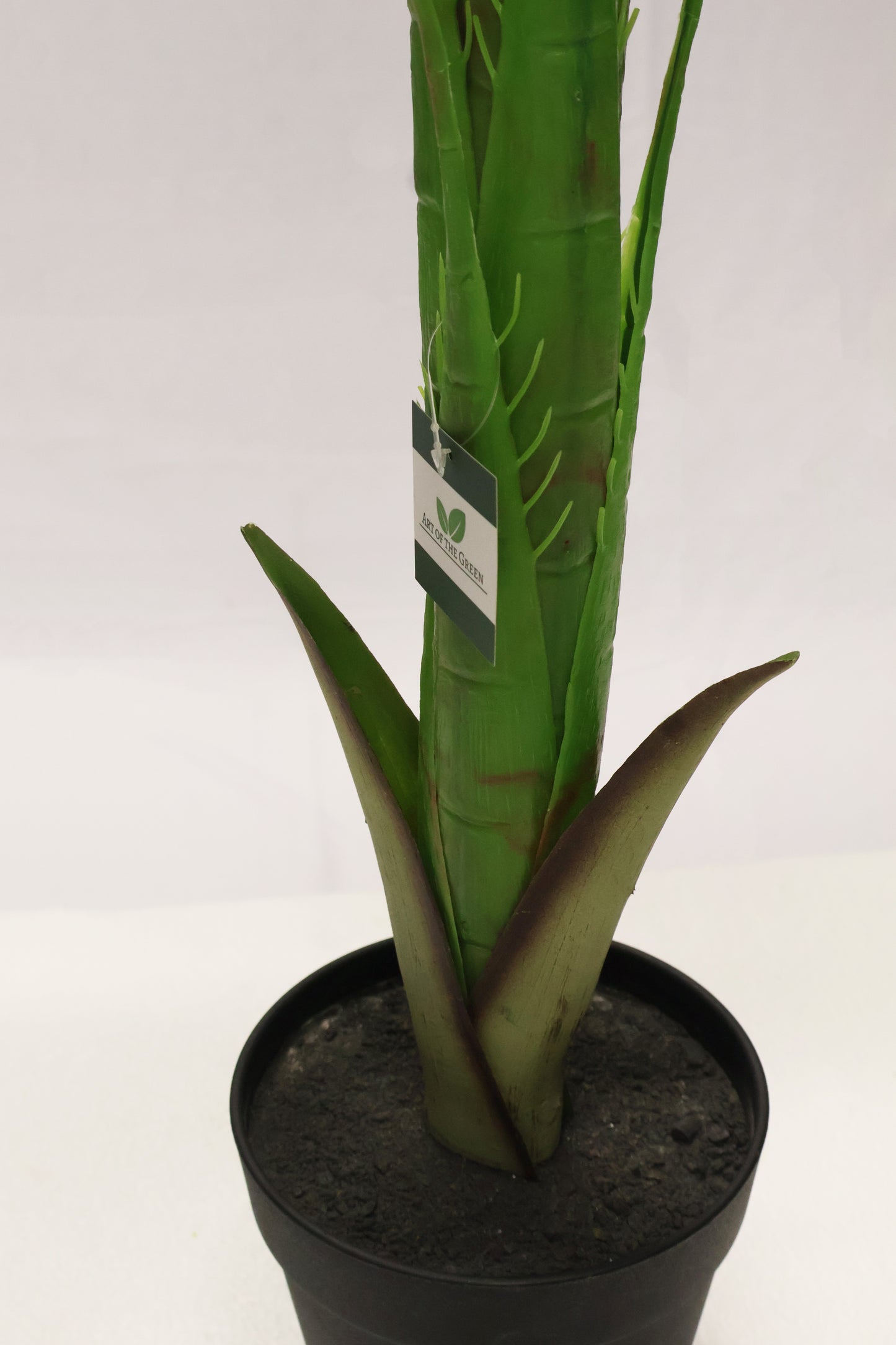 MINI ARECA PALM — 43.3" (110 cm)