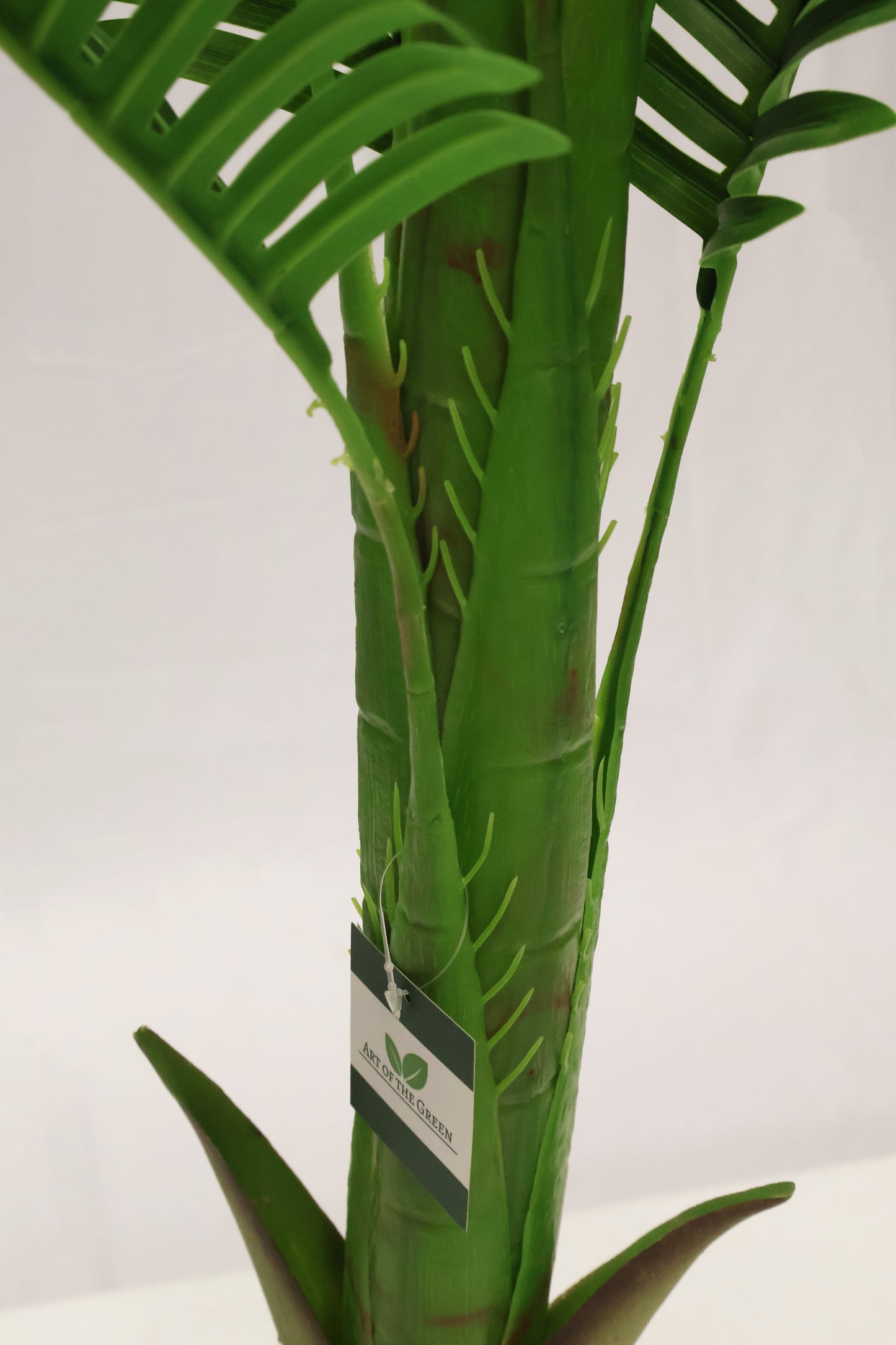 MINI ARECA PALM — 43.3" (110 cm)