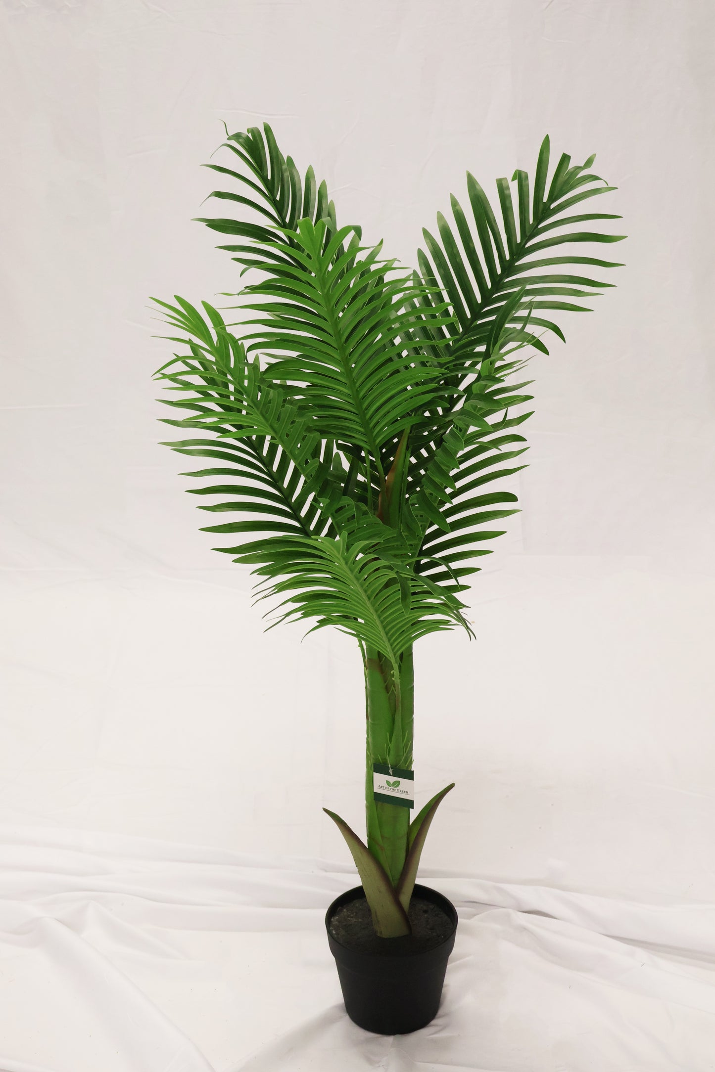 MINI ARECA PALM — 43.3" (110 cm)