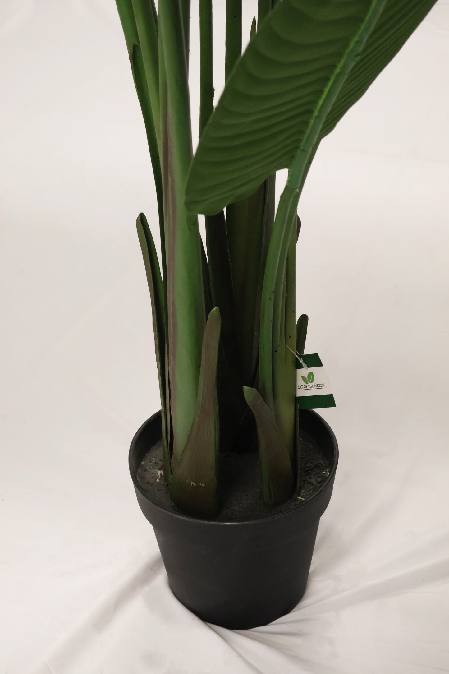 BIRD OF PARADISE (STRELITZIA) — 82.7" (210 cm)