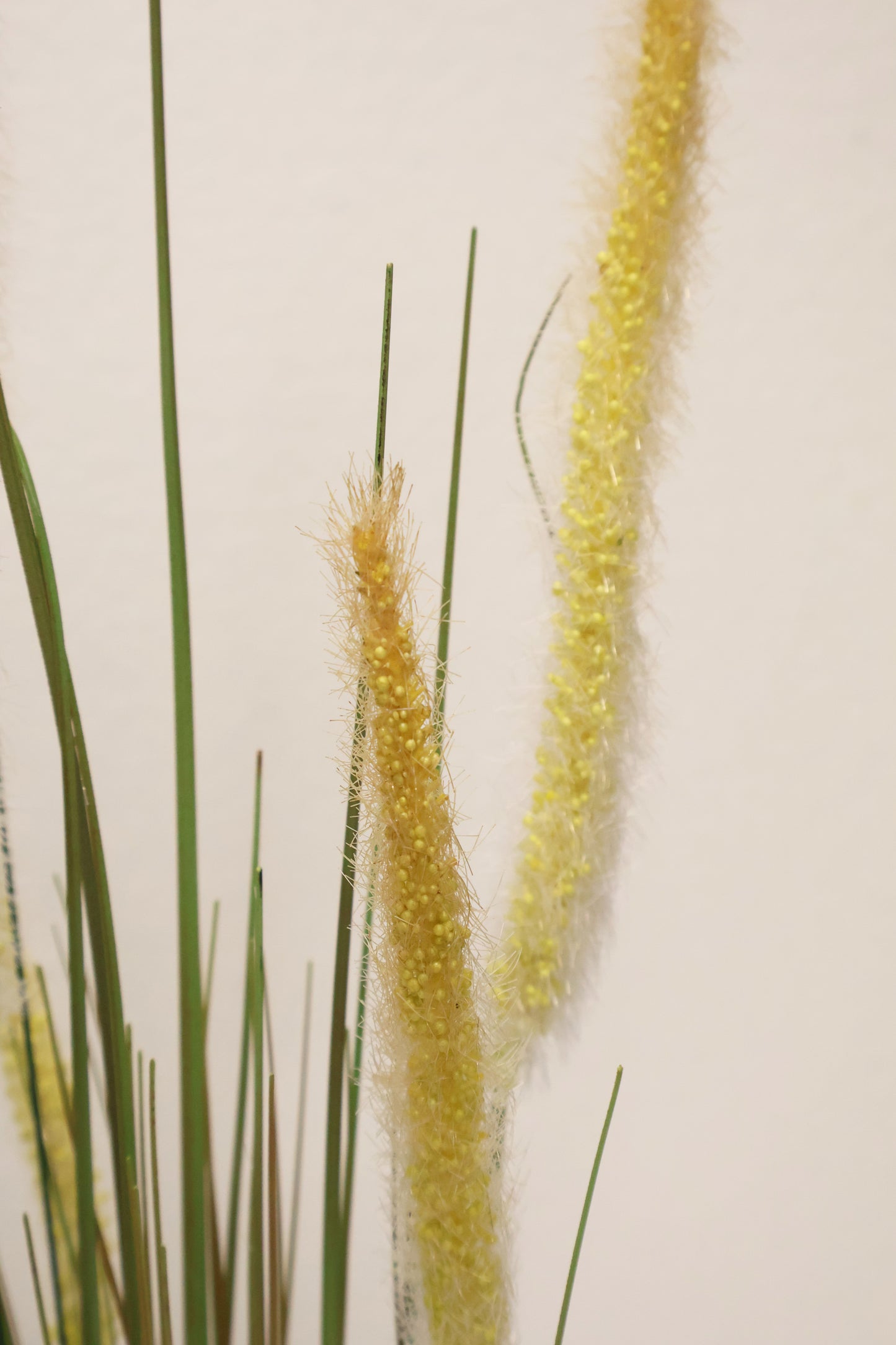 ORNAMENTAL GRASS STEM — 40.2" (102 cm)