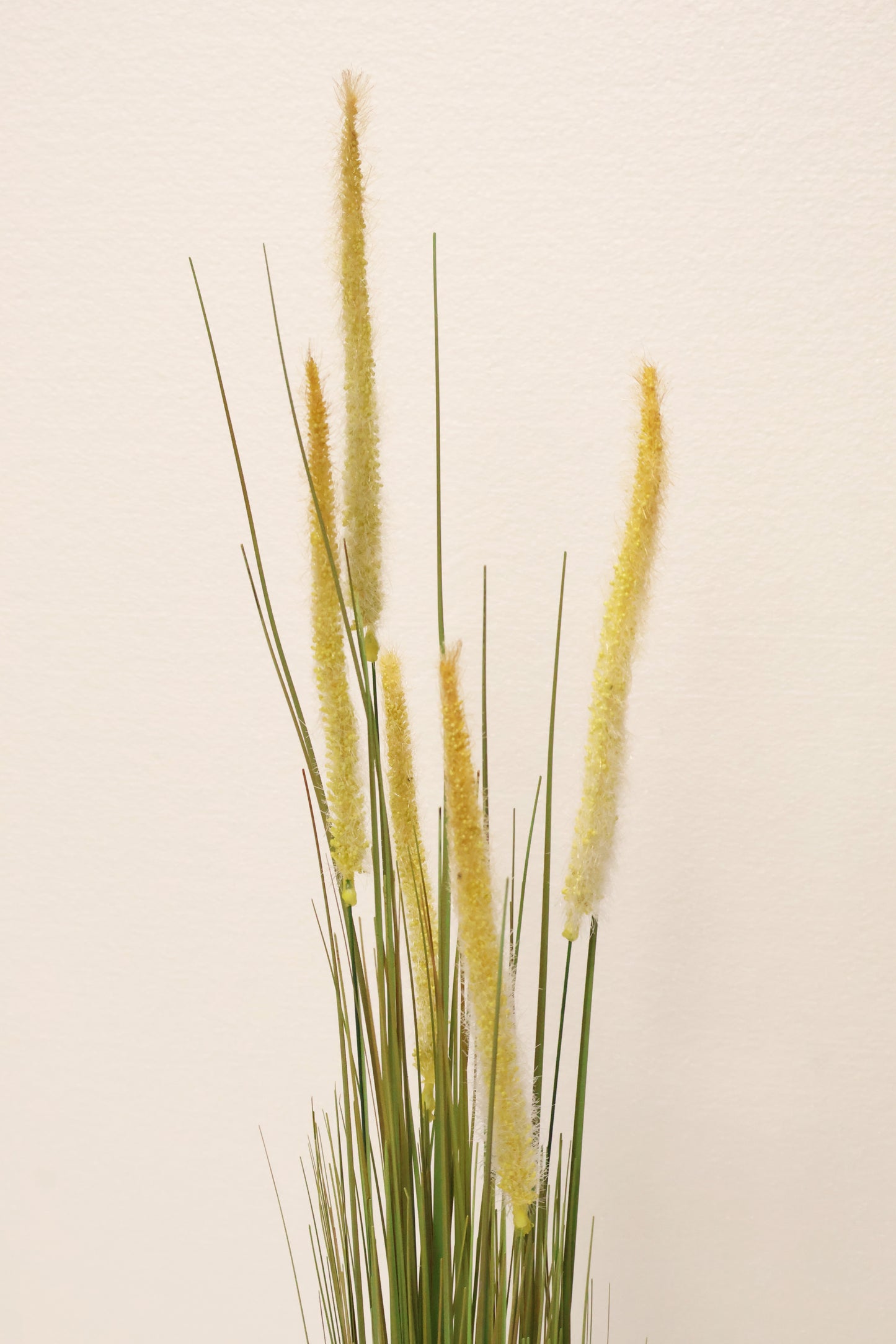 ORNAMENTAL GRASS STEM — 40.2" (102 cm)