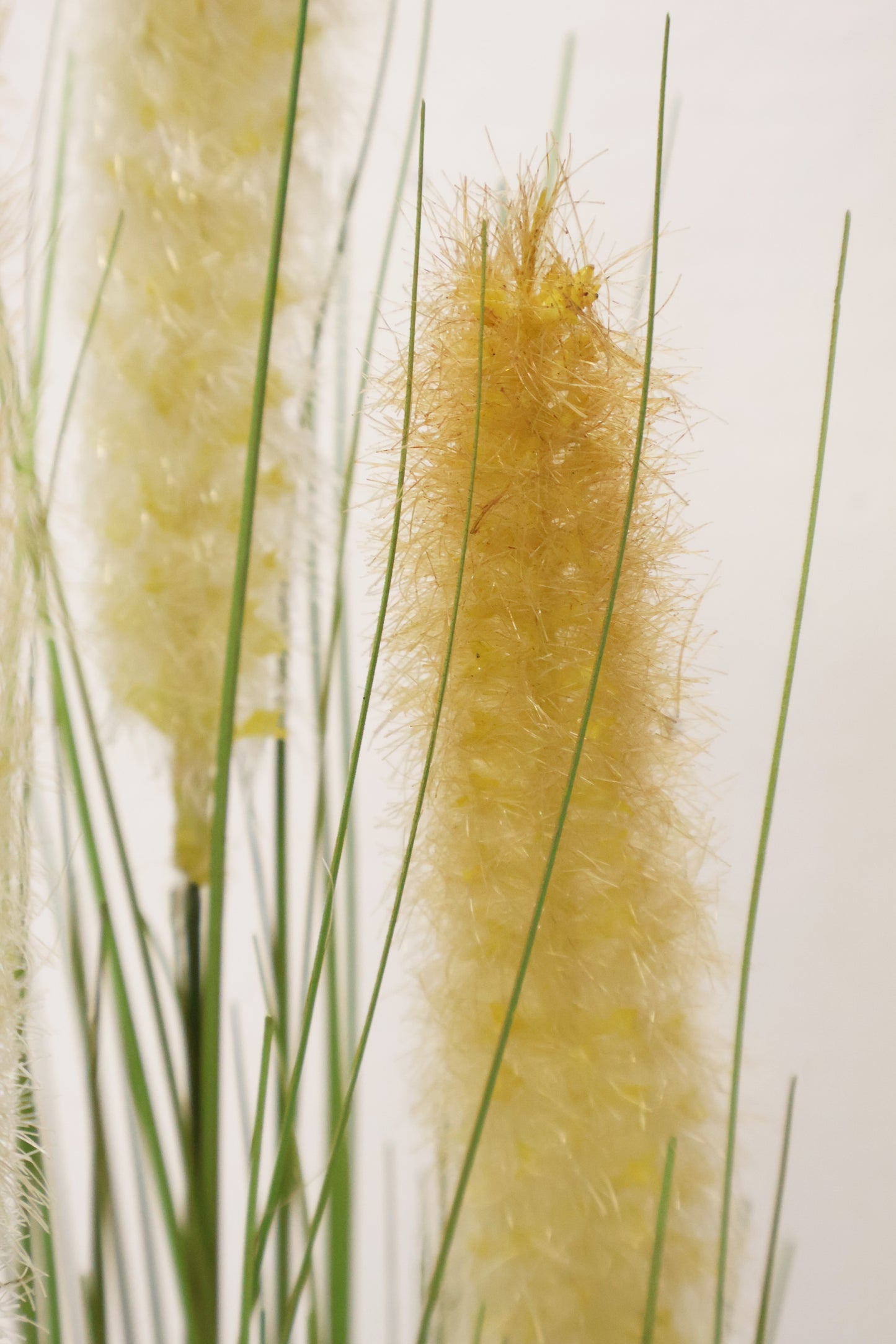 ORNAMENTAL GRASS STEM — 33.9" (86 cm)