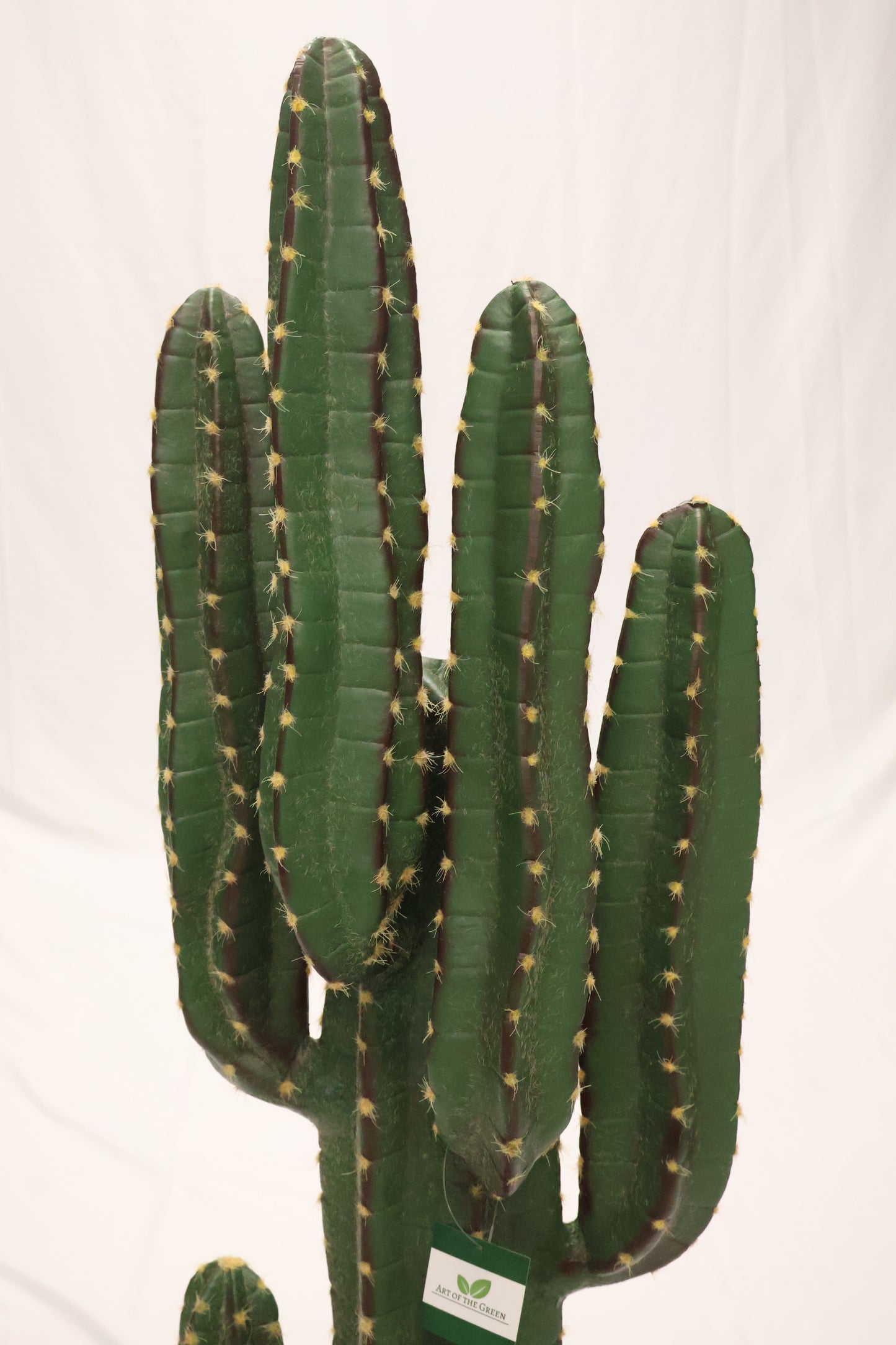 CEREUS CACTUS — 53.1" (135 cm)