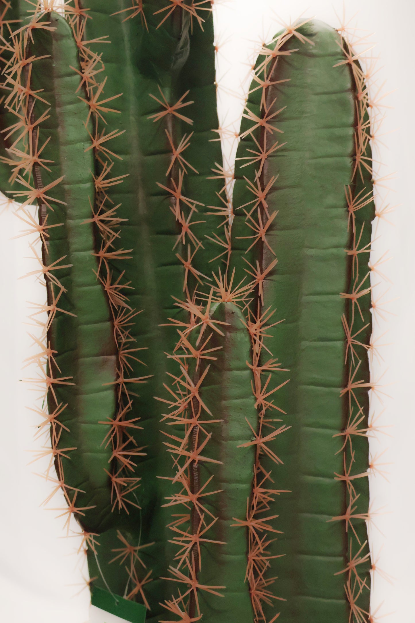CEREUS CACTUS — 76.8" × 15.7" (195 × 40 cm)