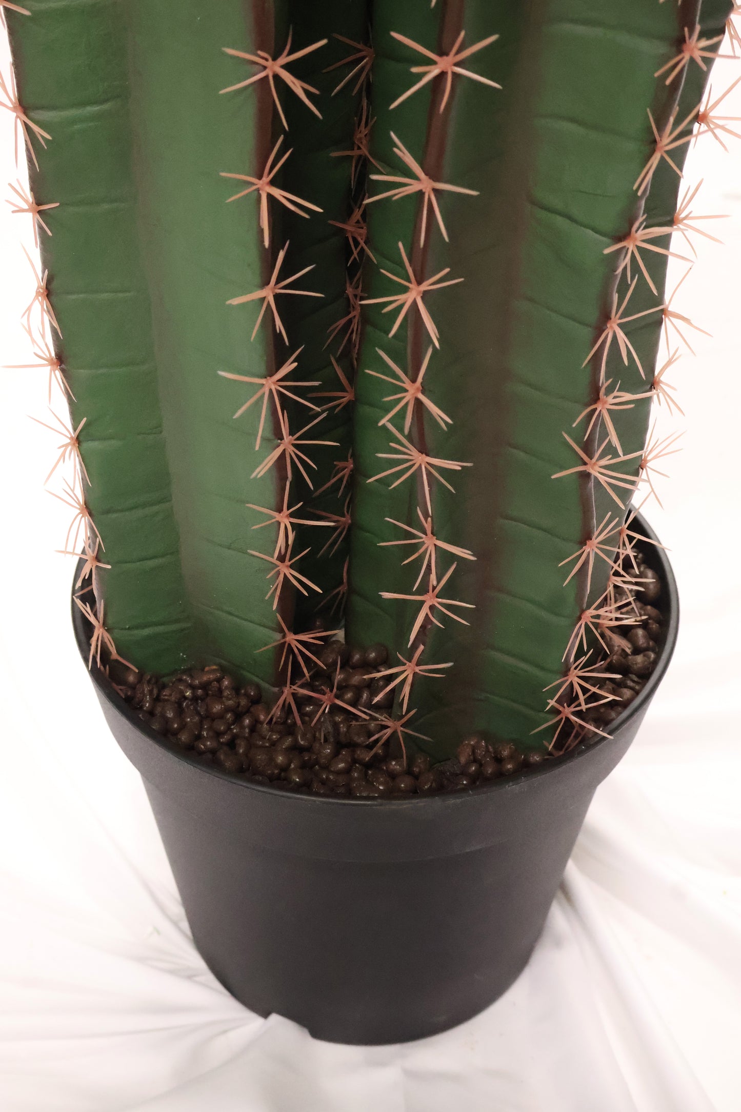 CEREUS CACTUS — 76.8" × 15.7" (195 × 40 cm)