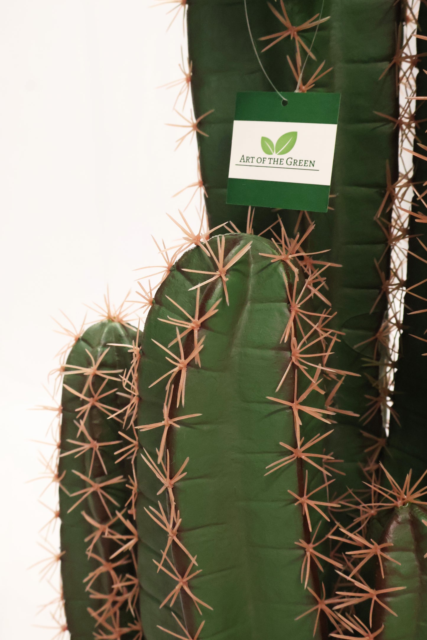 CEREUS CACTUS — 76.8" × 15.7" (195 × 40 cm)