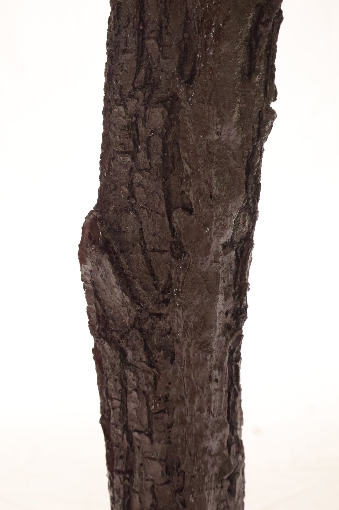 CHERRY BLOSSOM — 78.7" (200 cm)