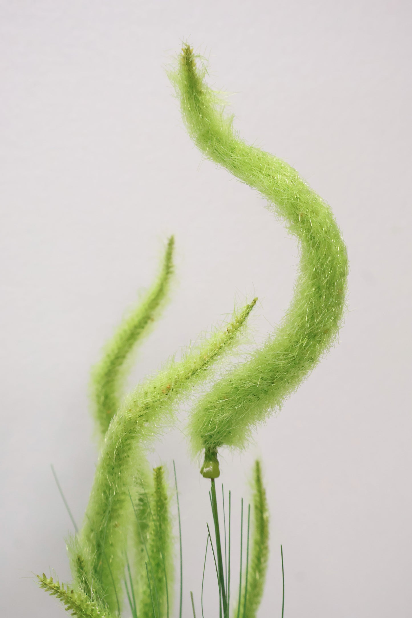 ORNAMENTAL GRASS STEM — 39.8" (101 cm)