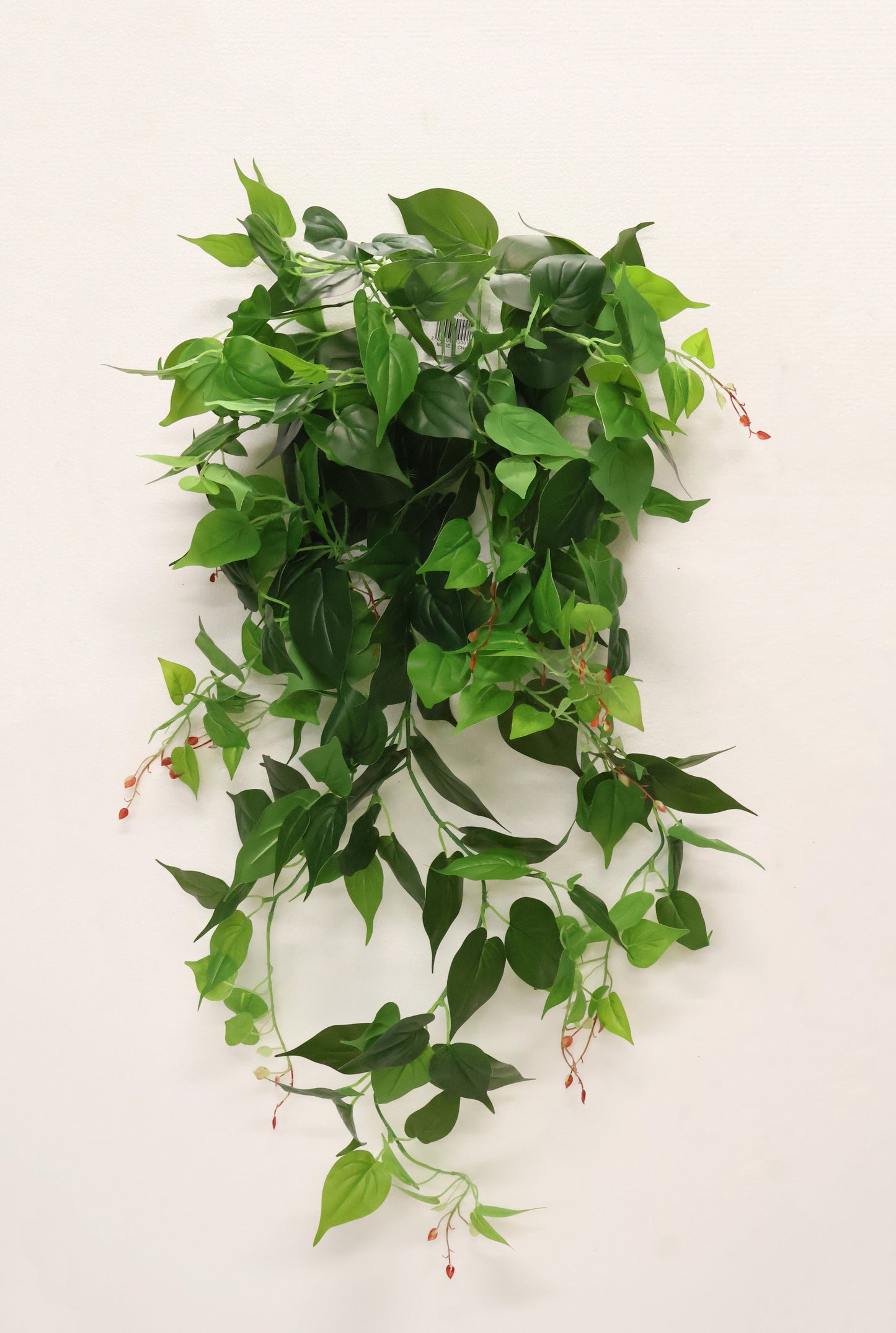 HEARTLEAF PHILODENDRON VINE — 41.3" (105 cm)