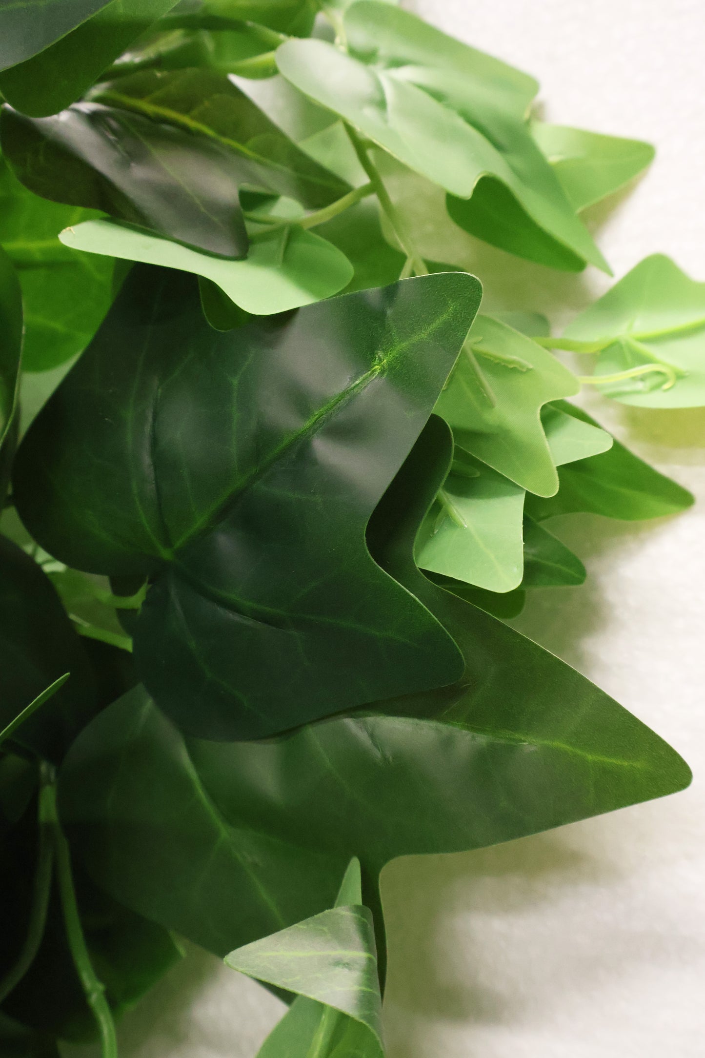 HEDERA HELIX (ENGLISH IVY) VINE — 35.4" (90 cm)