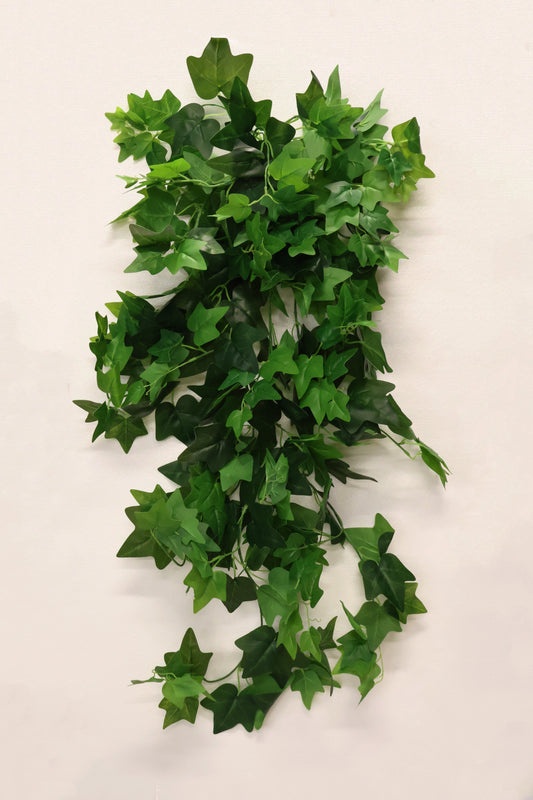 HEDERA HELIX (ENGLISH IVY) VINE — 47.2" (120 cm)